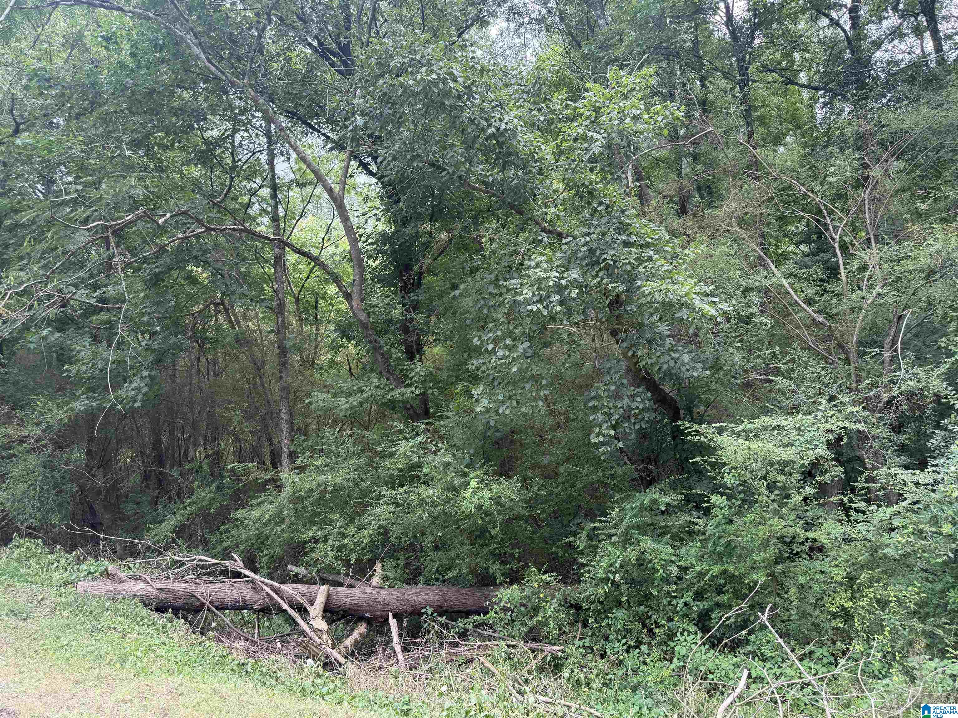 3500 WILBURN LAKE ROAD