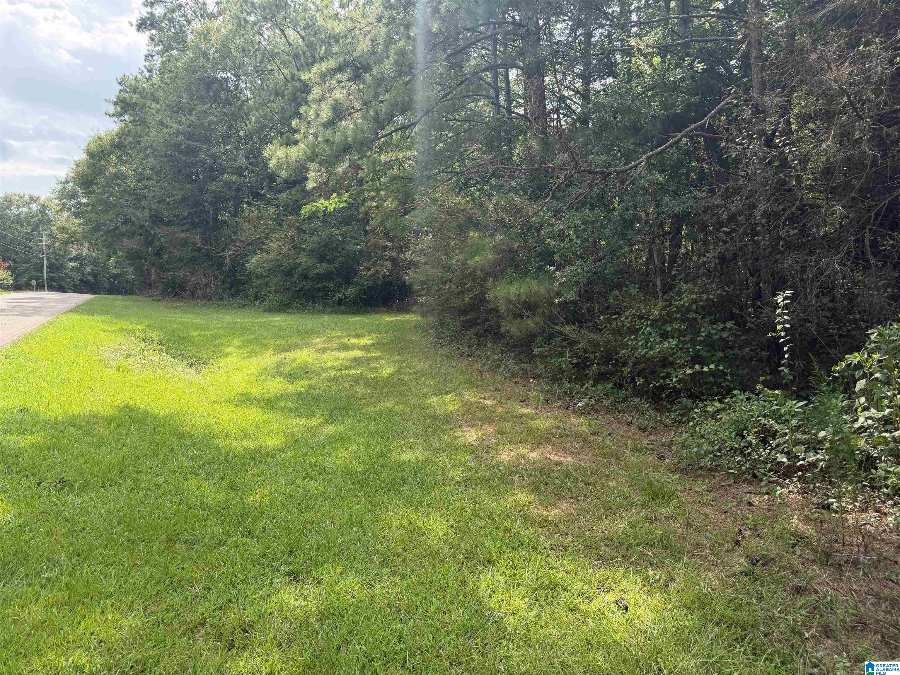 Photo 1 of Land for sale at 0 County Rd 82, Woodland, AL 36280 | MLS# 21460033 | Listing updated on 2026-07-23