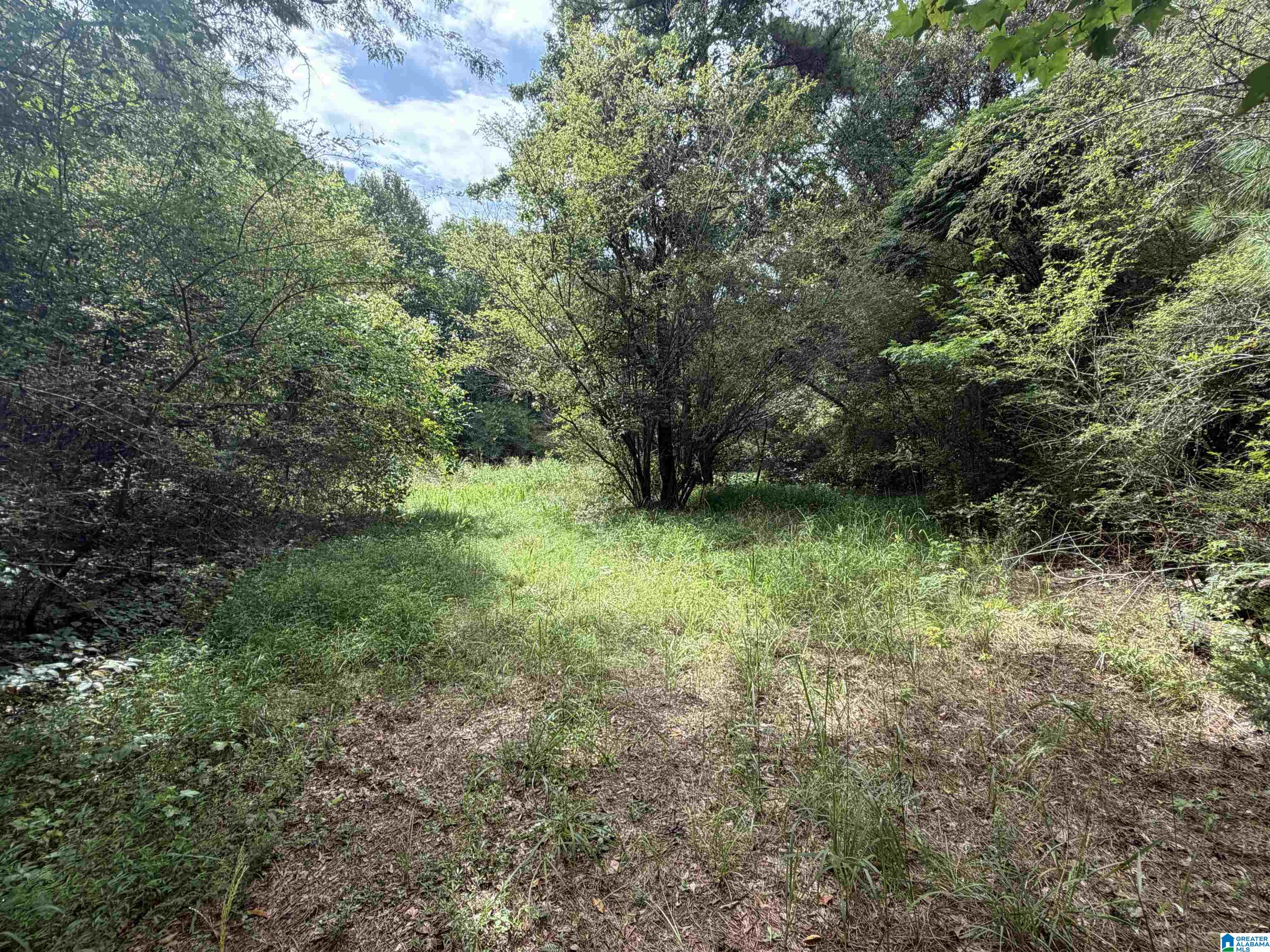 Photo 2 of Land for sale at 0 County Rd 82, Woodland, AL 36280 | MLS# 21460033 | Listing updated on 2026-07-23