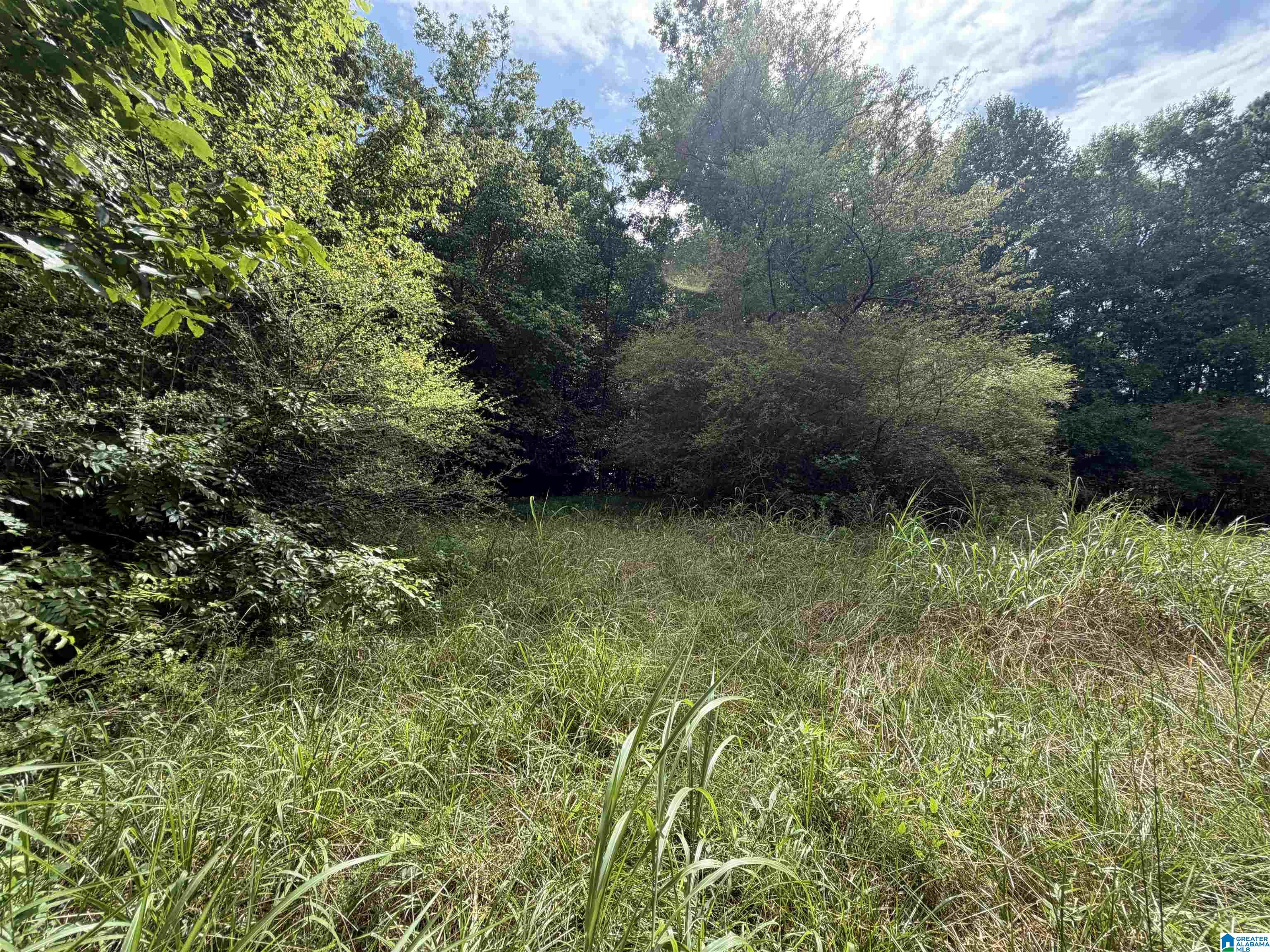 Photo 3 of Land for sale at 0 County Rd 82, Woodland, AL 36280 | MLS# 21460033 | Listing updated on 2026-07-23