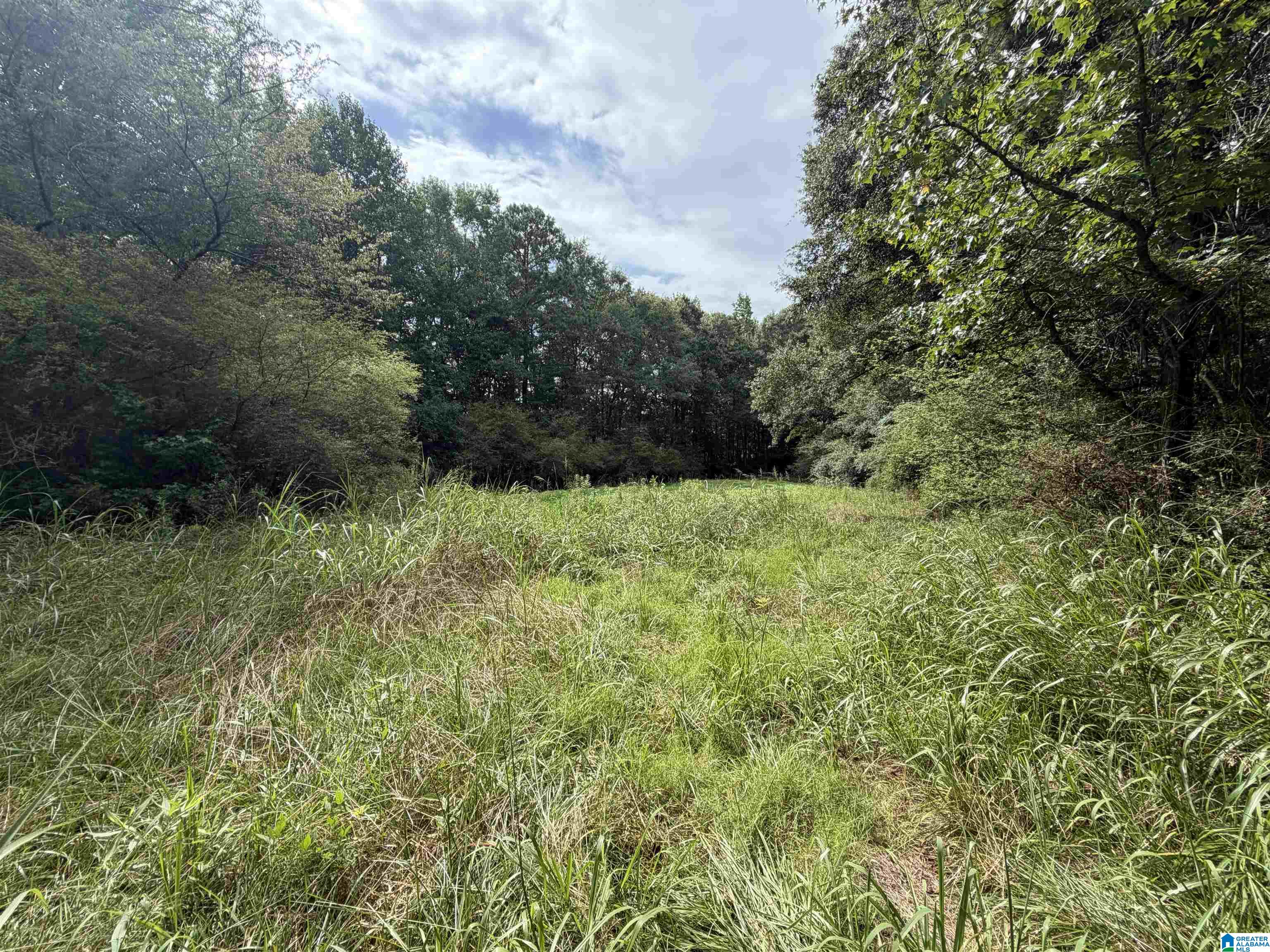 Photo 3 of Land for sale at 0 County Rd 82, Woodland, AL 36280 | MLS# 21460033 | Listing updated on 2026-07-23