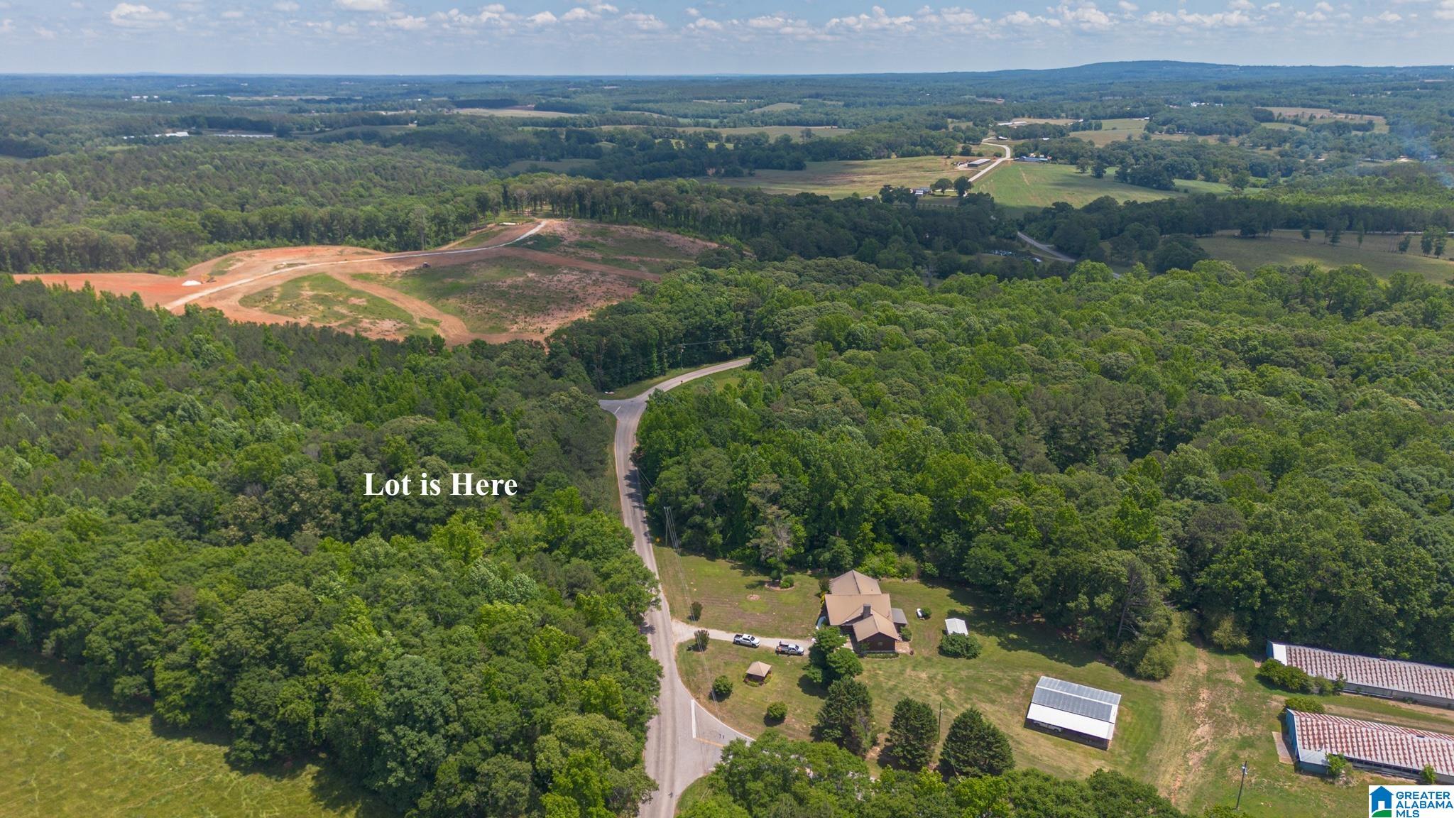 Photo 4 of Land for sale at 0 County Rd 82, Woodland, AL 36280 | MLS# 21460033 | Listing updated on 2026-07-23
