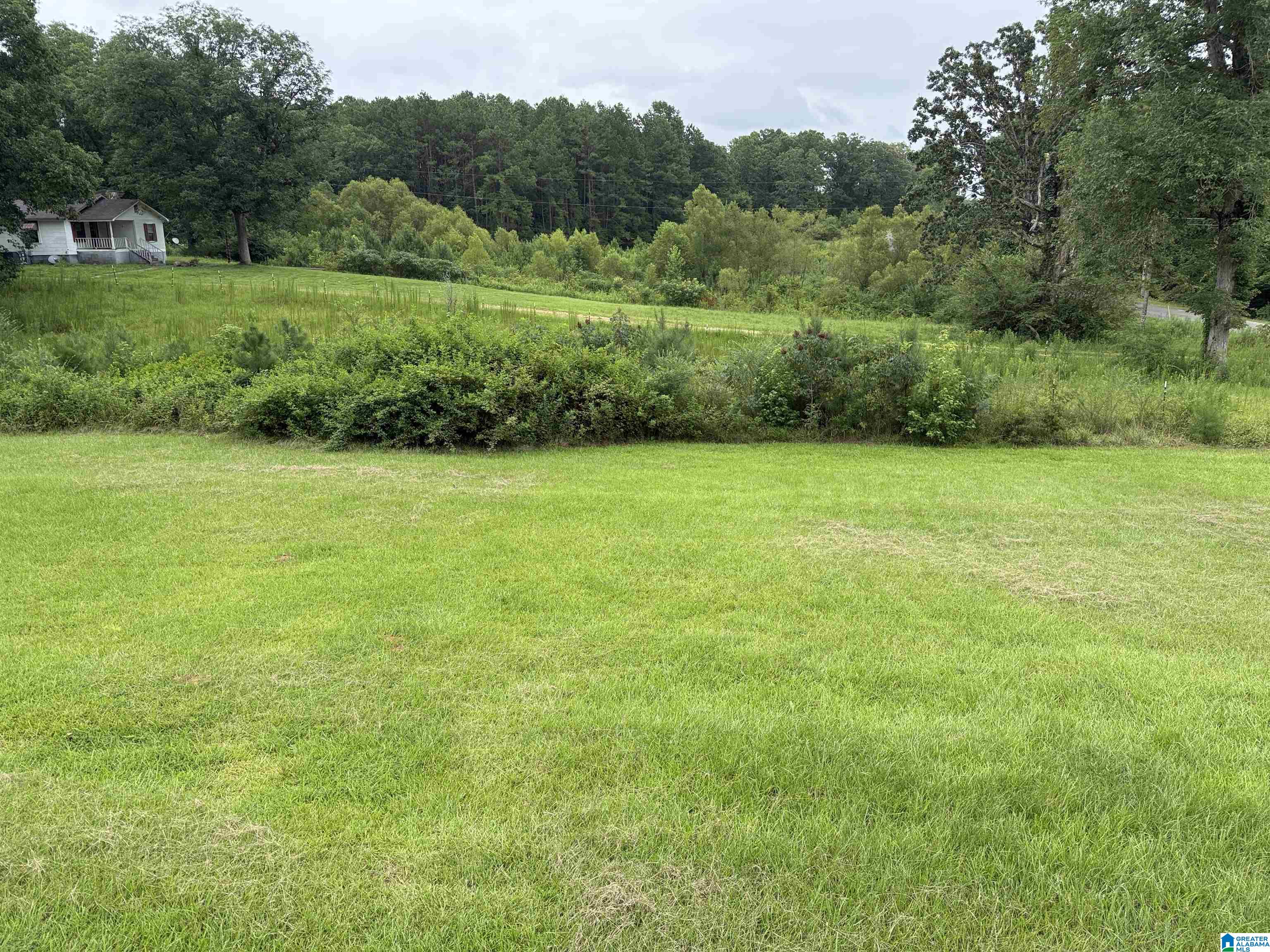 21st image of 1541 Lost Creek Road, Carbon Hill, AL 35549 | MLS# 21460044