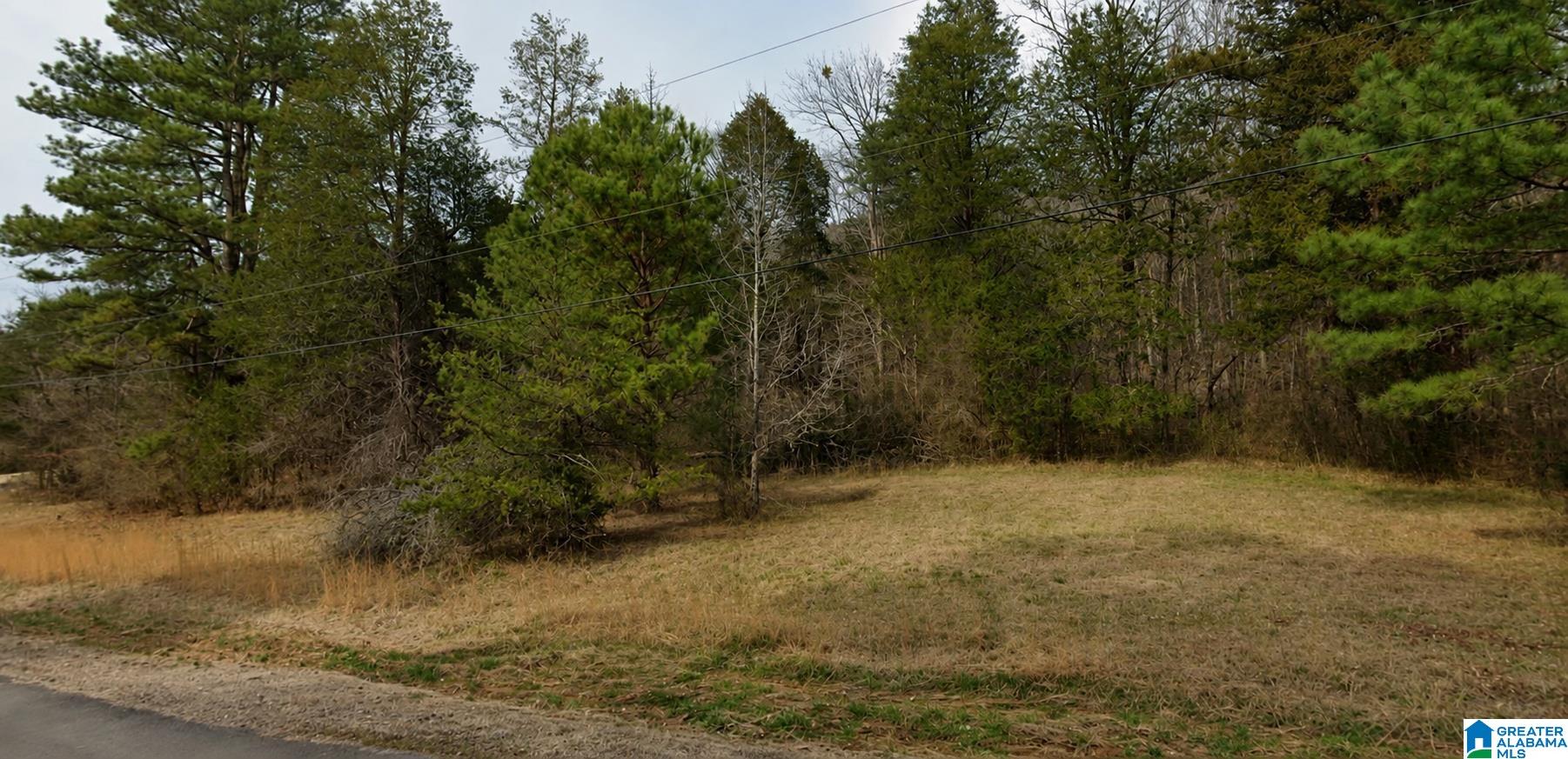 1st image of 0 Heritage Valley Dr, Springville, AL 35146 | MLS# 21460078