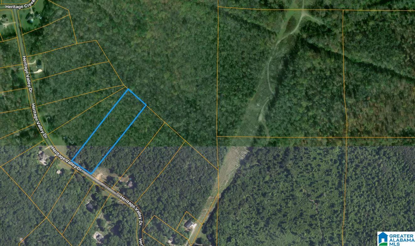 4th image of 0 Heritage Valley Dr, Springville, AL 35146 | MLS# 21460078