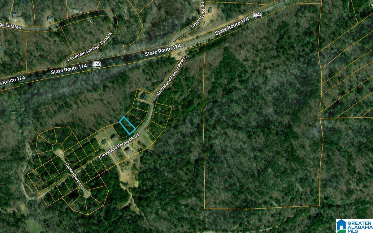 2nd image of 0 Cleveland Farms Parkway, Pell City, AL 35125 | MLS# 21460080