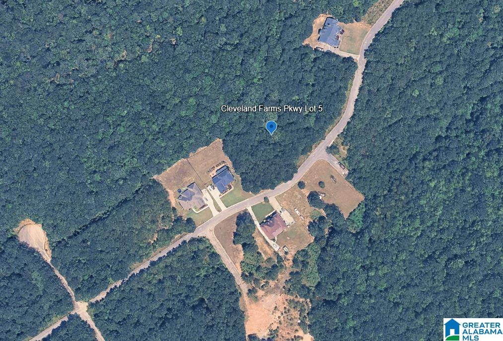 5th image of 0 Cleveland Farms Parkway, Pell City, AL 35125 | MLS# 21460080