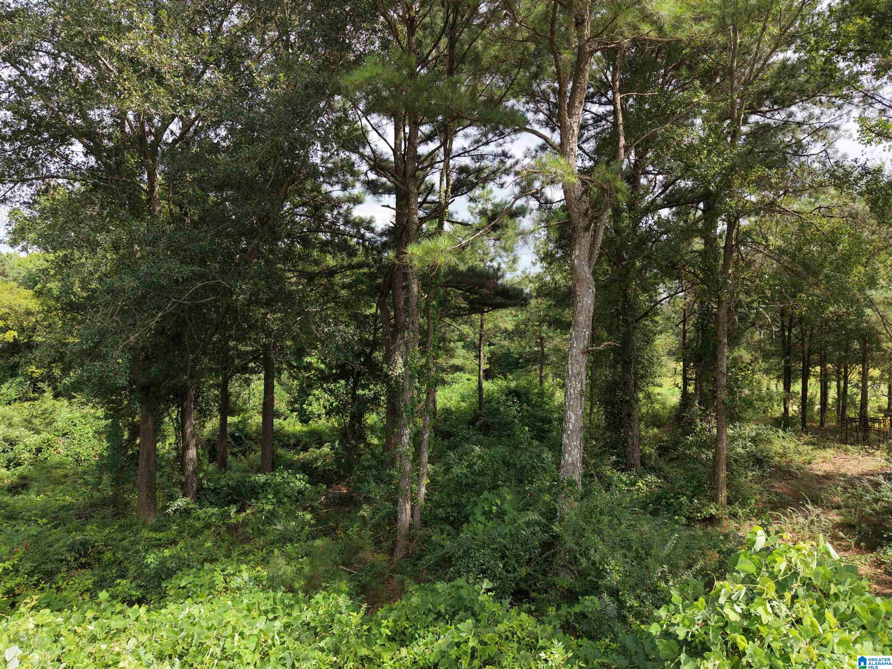 1st image of 0 Fat Adams Dr, Hayden, AL 35079 | MLS# 21460102