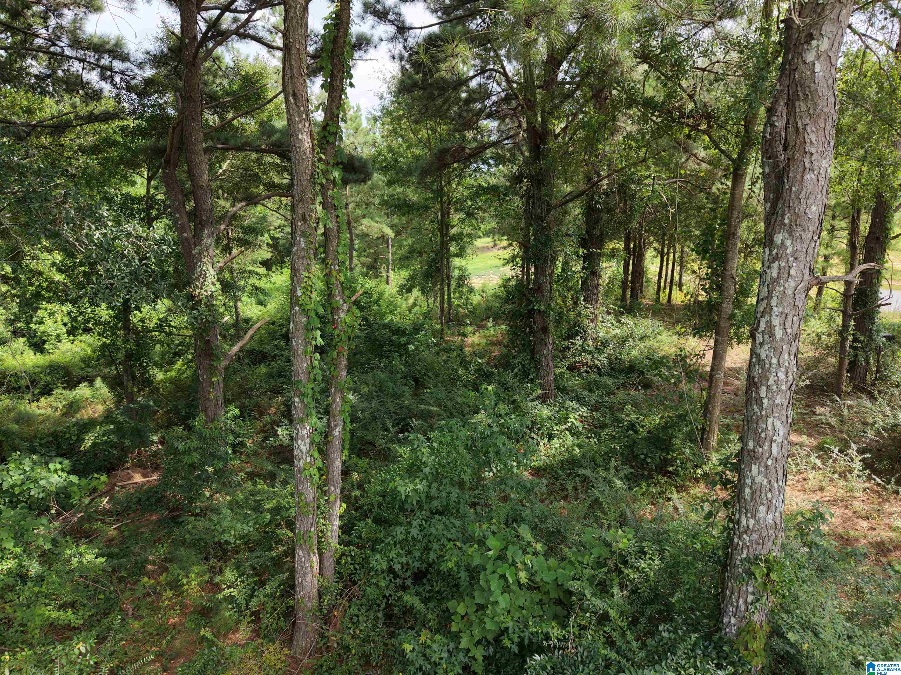 2nd image of 0 Fat Adams Dr, Hayden, AL 35079 | MLS# 21460102