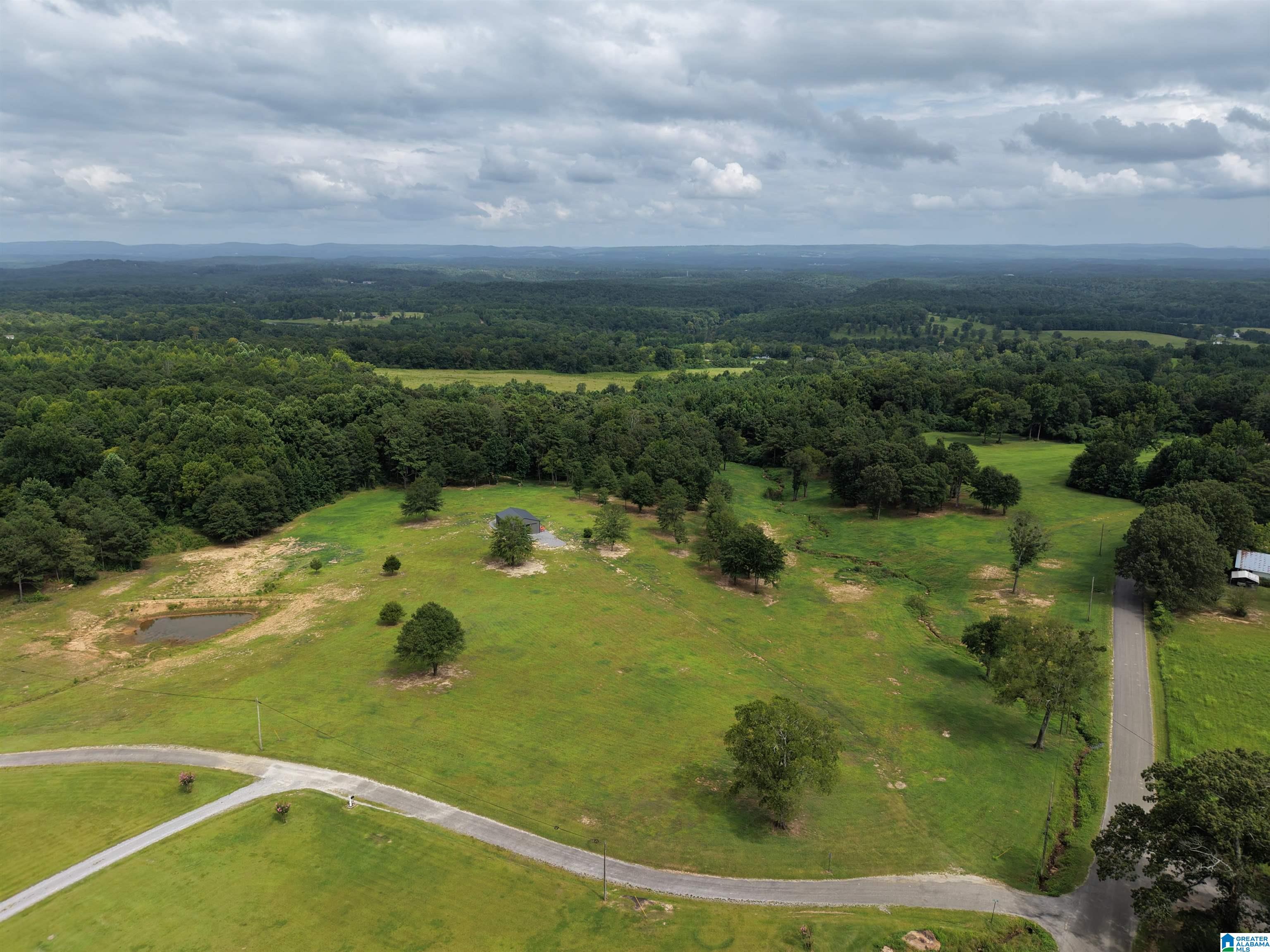 4th image of 76 Fat Adams Dr, Hayden, AL 35079 | MLS# 21460104