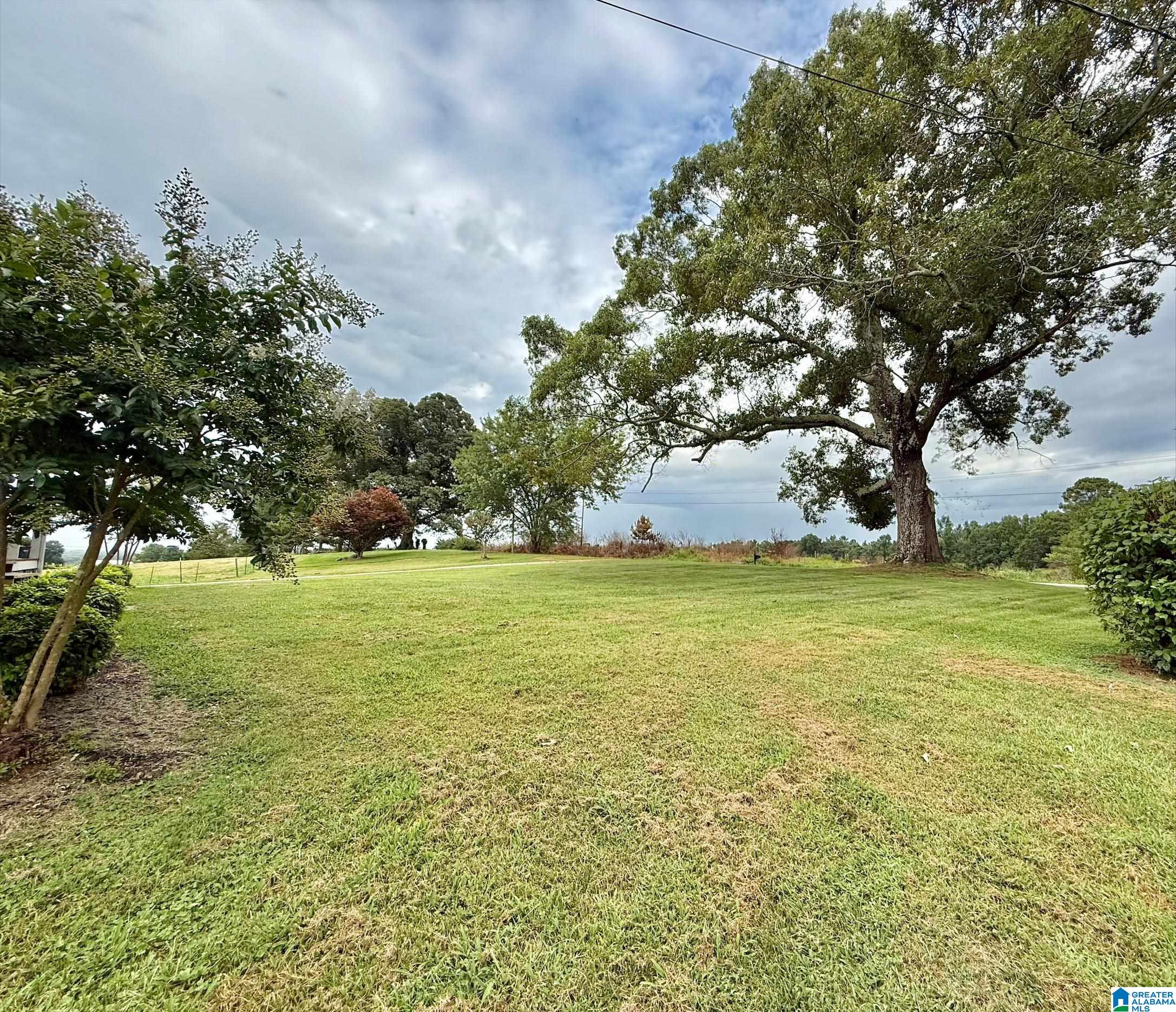 15th image of 20480 County Road 59, Newell, AL 36280 | MLS# 21460152