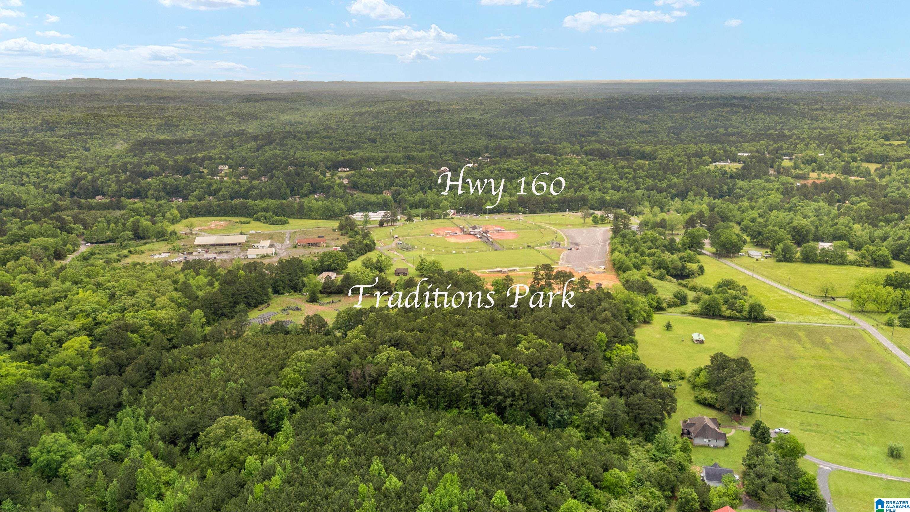 49th image of 17 Ashbury Dr, Warrior, AL 35180 | MLS# 21460164