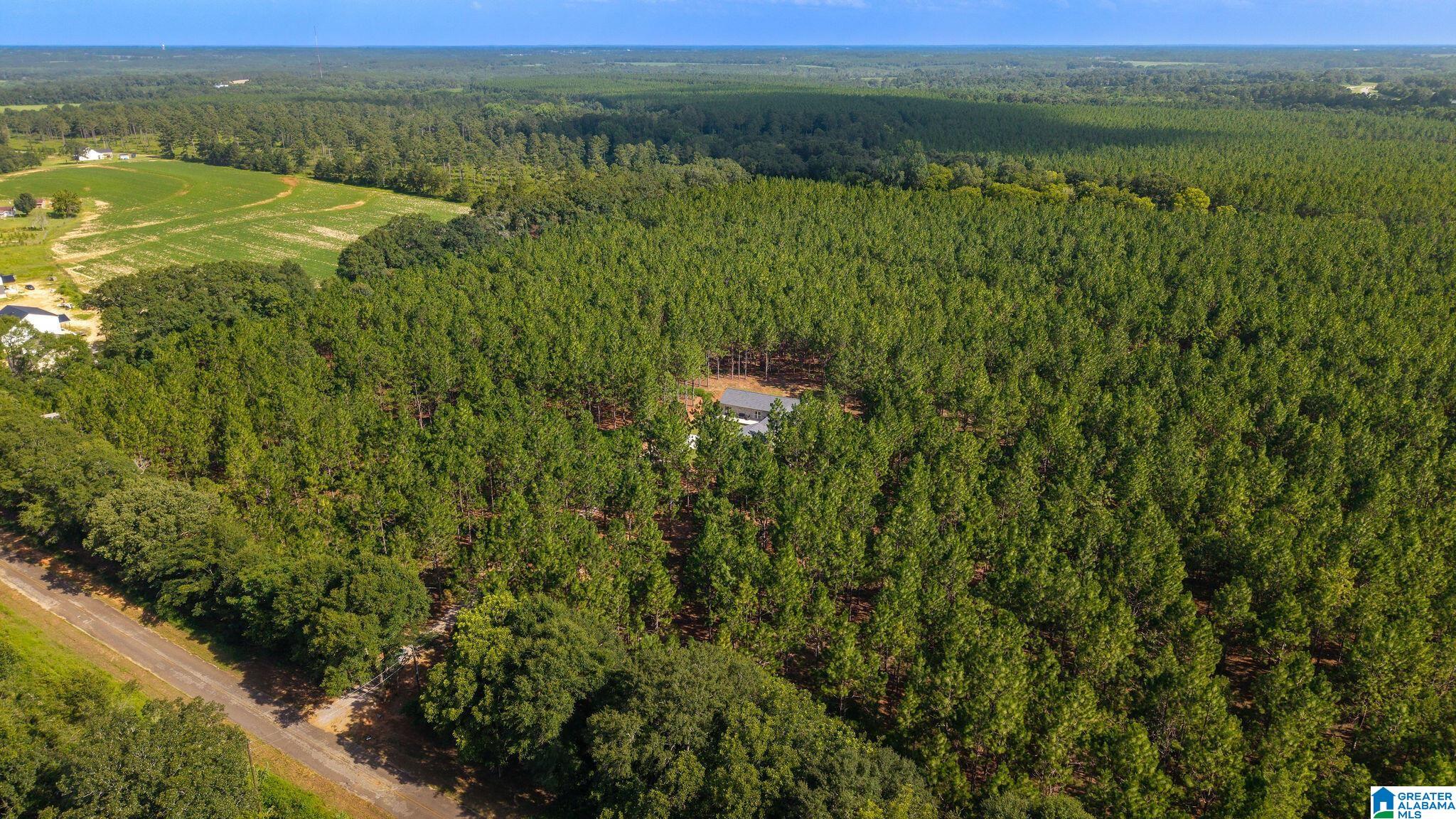 Photo 30 of Single family home for sale at 360 County Rd 18, Newville, AL 36353 | MLS# 21460180 | Listing updated on 2026-08-03