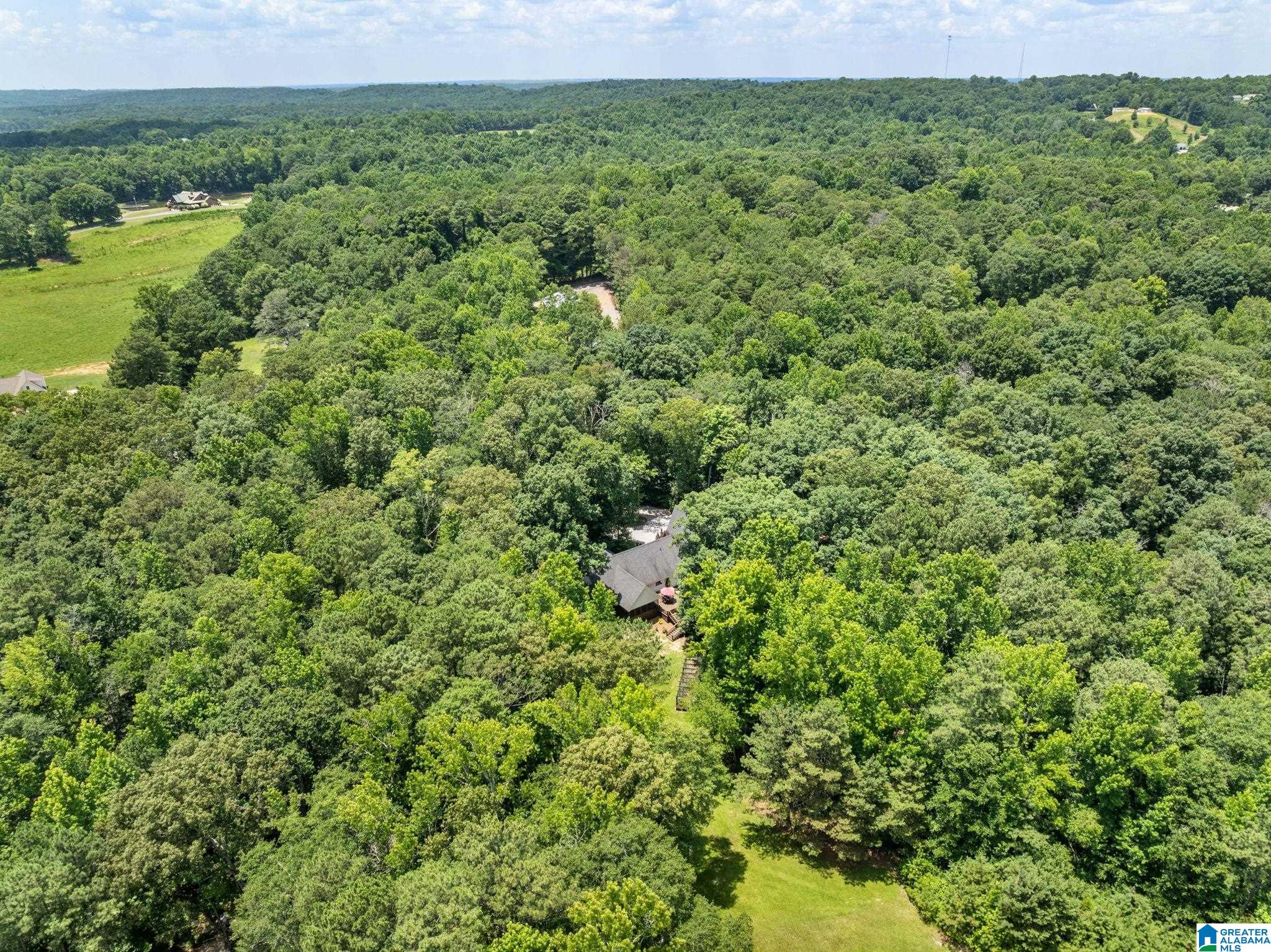 71st image of 6870 County Road 437, Cullman, AL 35057 | MLS# 21460191