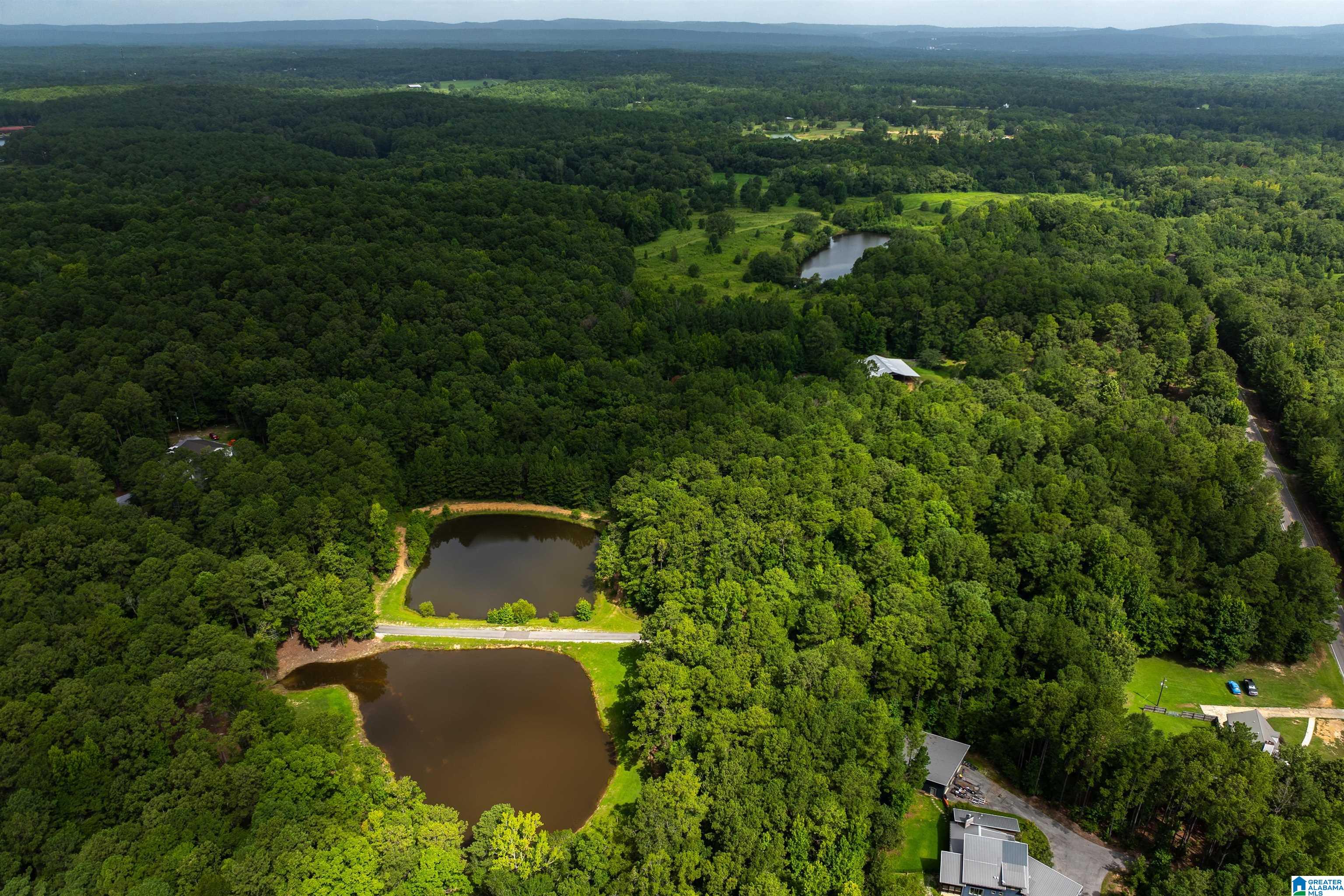 3rd image of 252 Chelsea Ridge Lane, Columbiana, AL 35051 | MLS# 21460204
