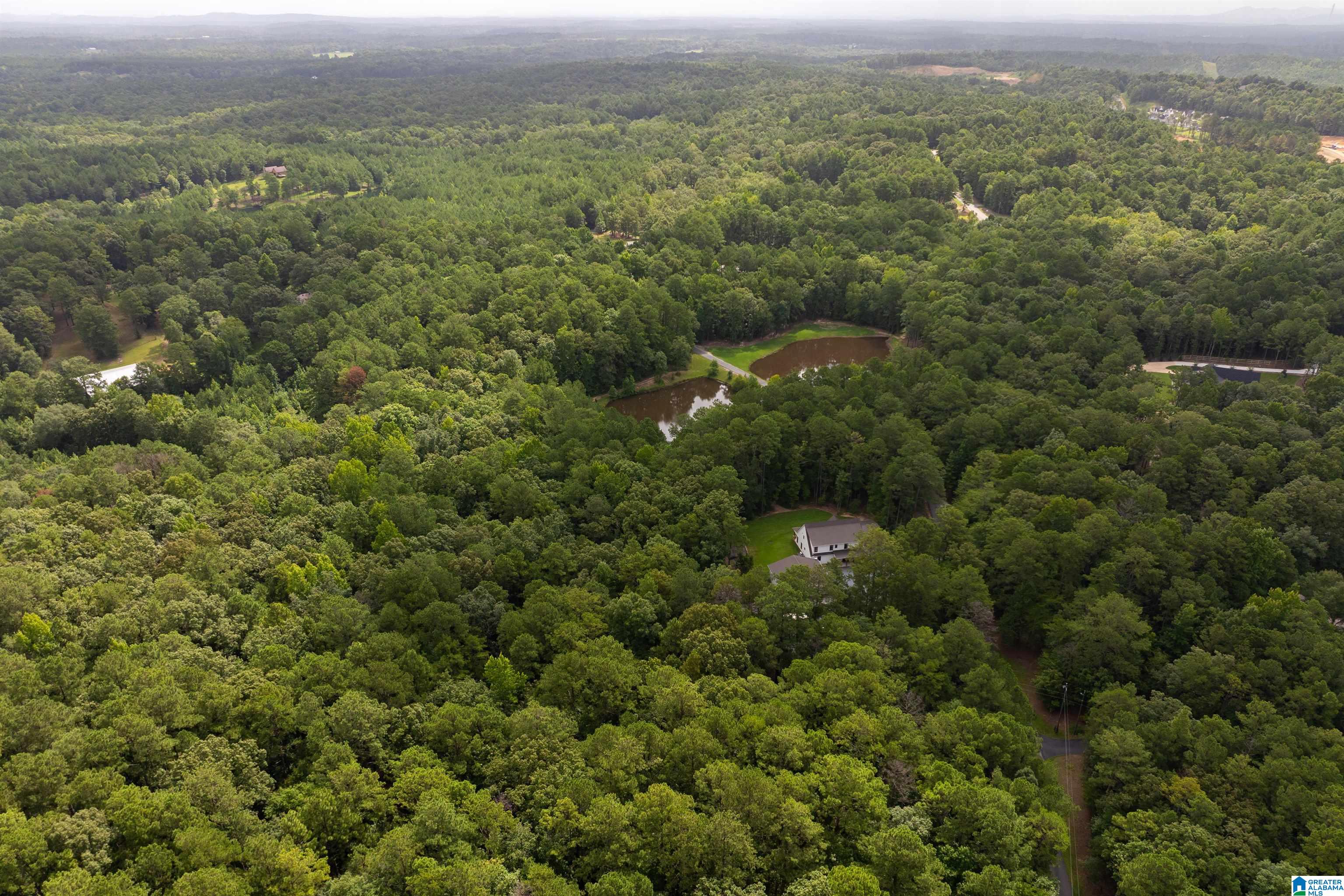 65th image of 252 Chelsea Ridge Lane, Columbiana, AL 35051 | MLS# 21460204