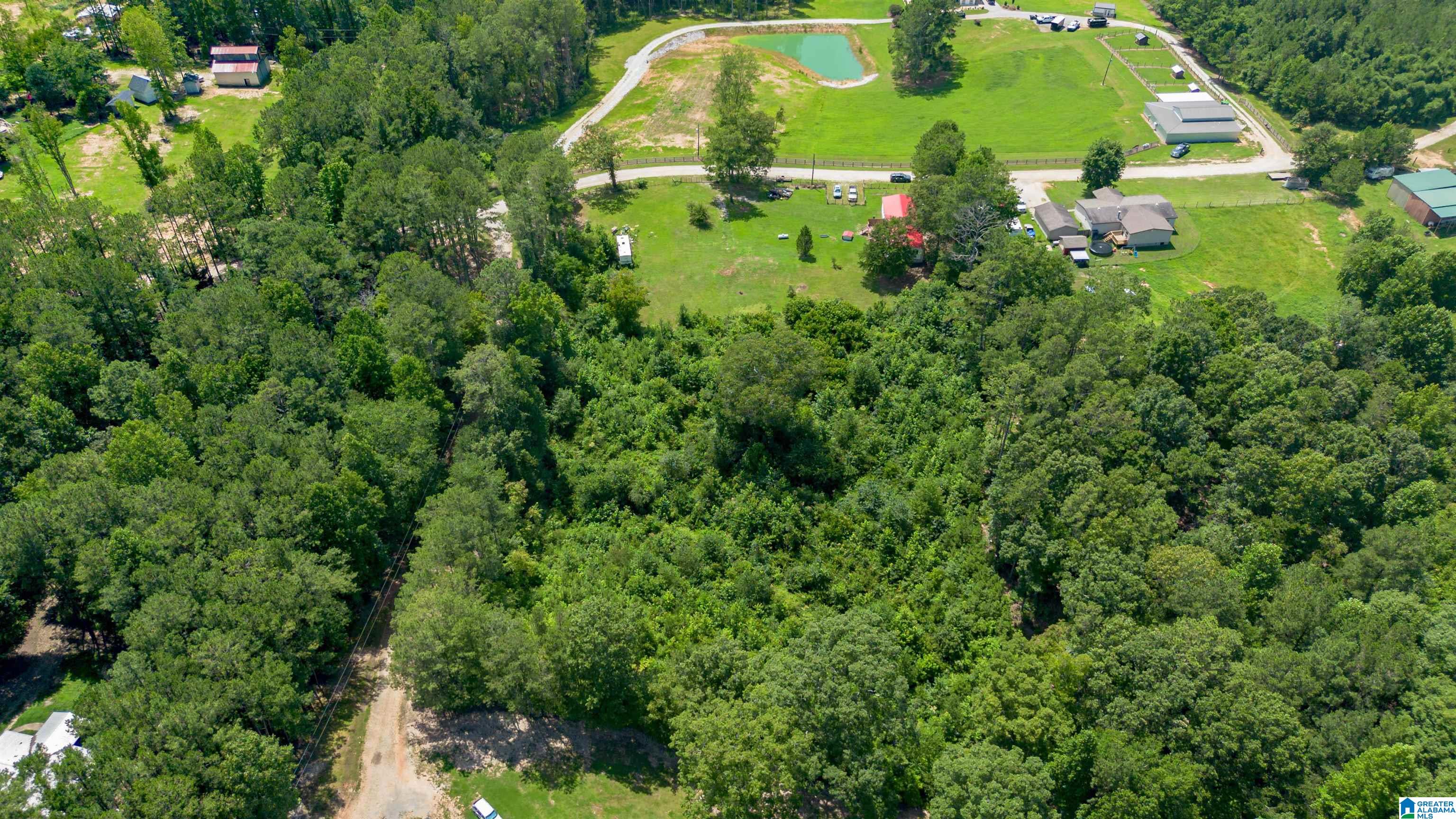 794 County Road 447