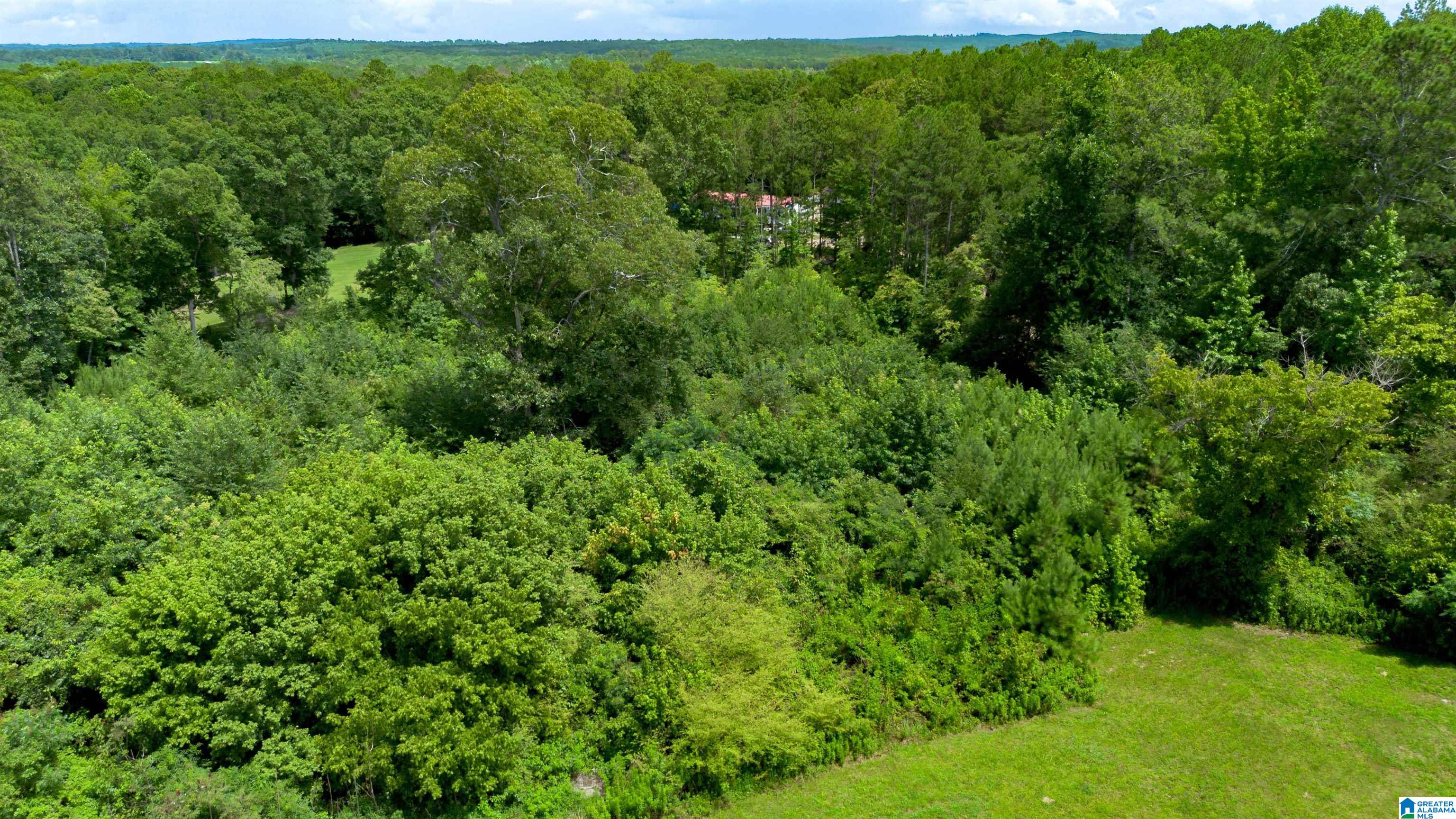 Tract 5 County Road 447 0