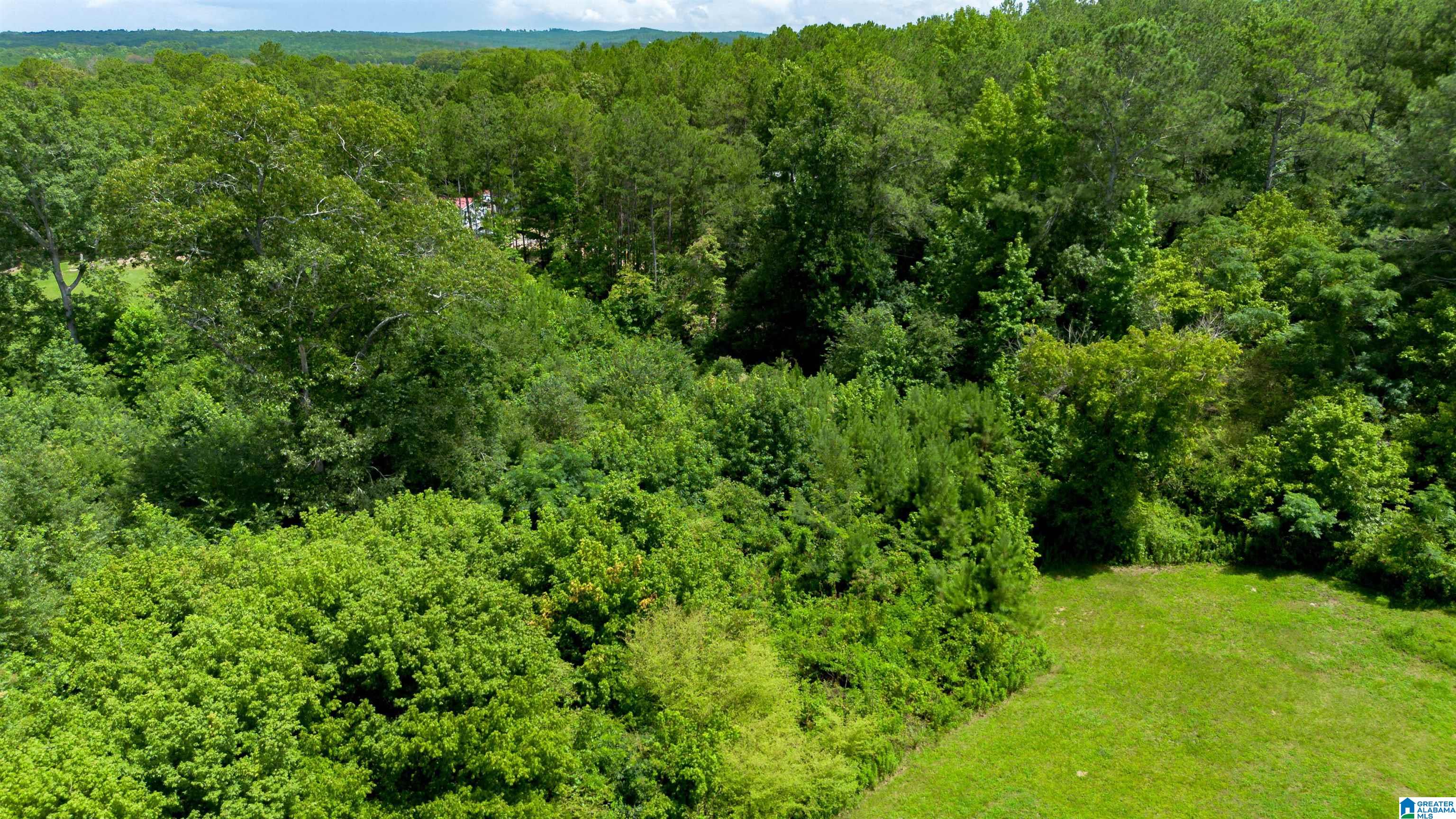 Tract 5 County Road 447 0