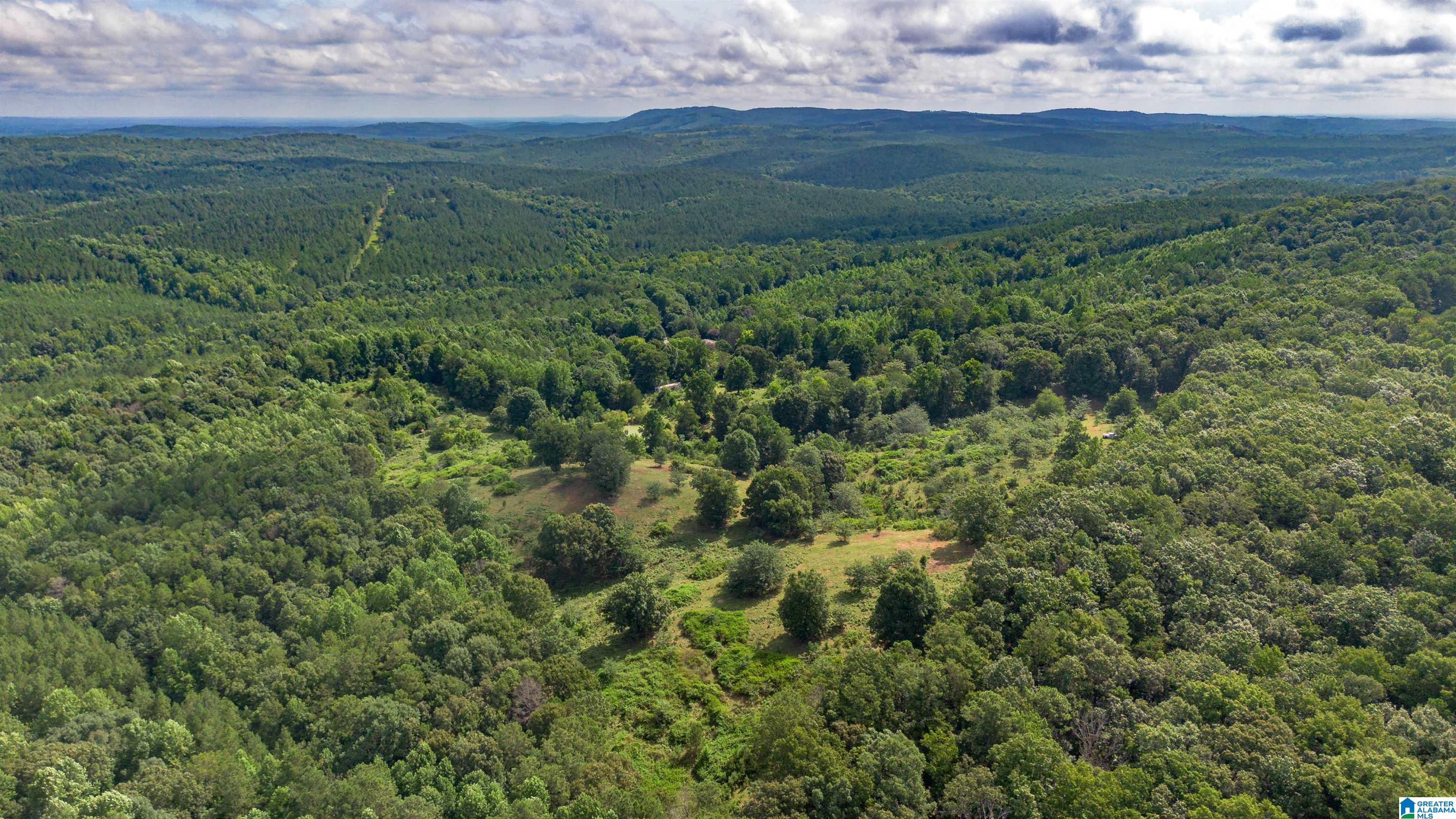 5967 County Road 19 none