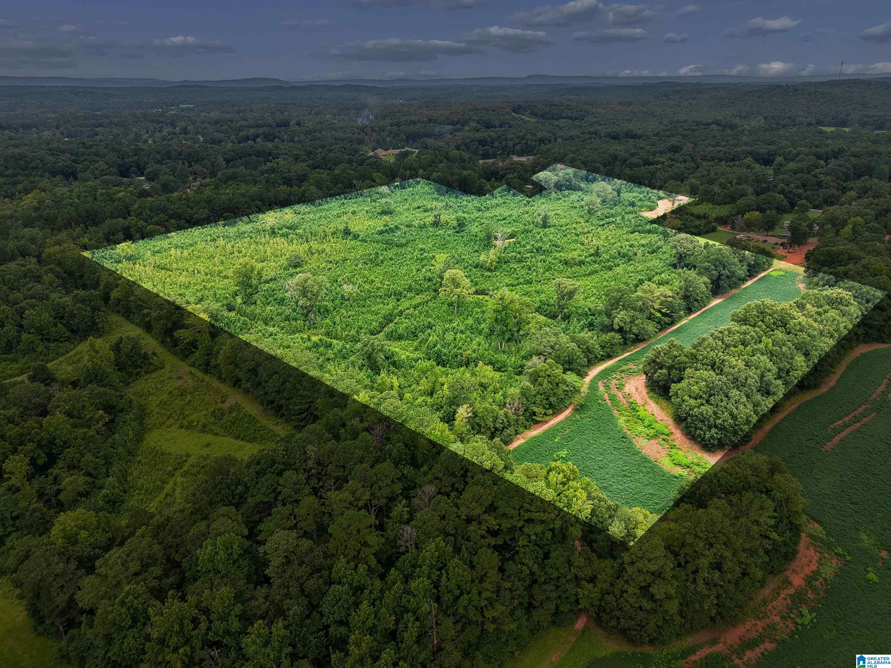 Photo 2 of Land for sale at O Highway 60, Vincent, AL 35178 | MLS# 21460260 | Listing updated on 2026-09-15