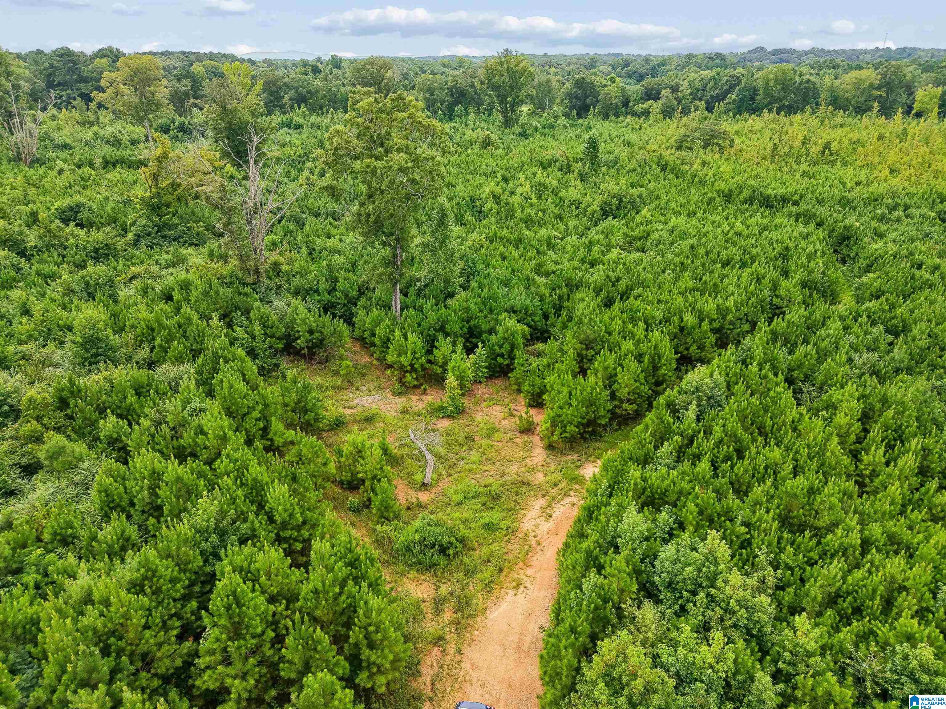 Photo 3 of Land for sale at O Highway 60, Vincent, AL 35178 | MLS# 21460260 | Listing updated on 2026-09-15