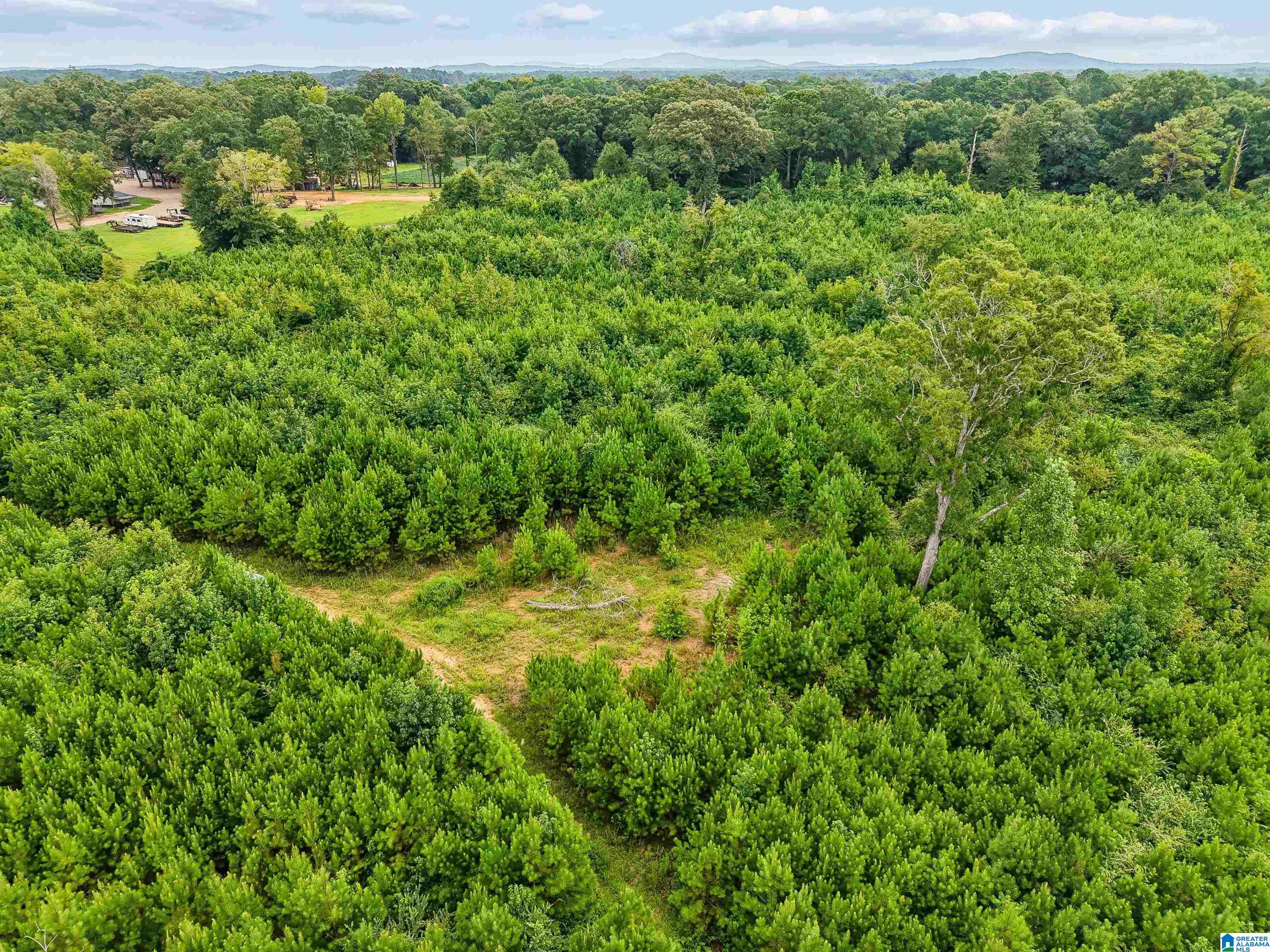 Photo 4 of Land for sale at O Highway 60, Vincent, AL 35178 | MLS# 21460260 | Listing updated on 2026-09-15