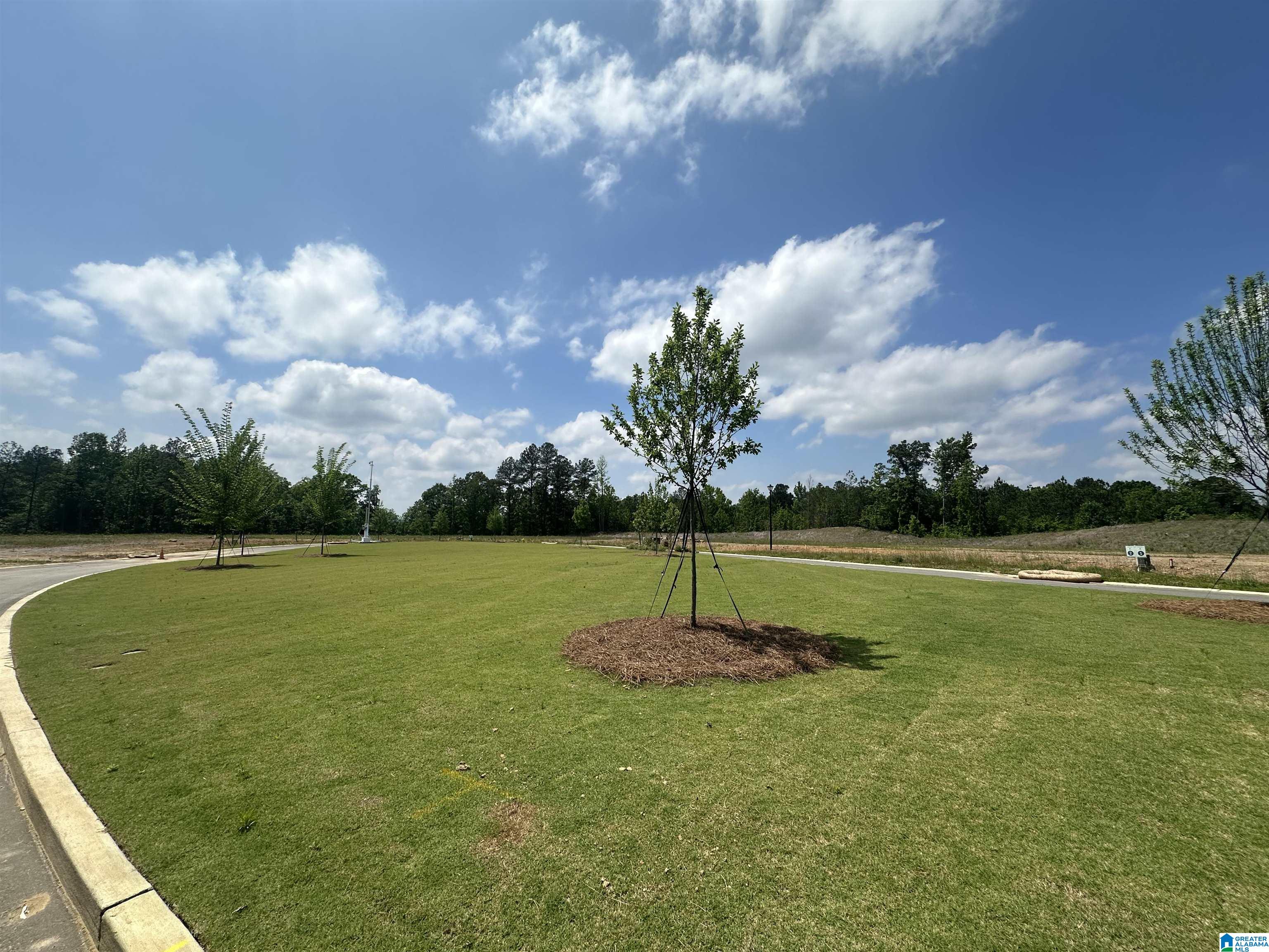 53rd image of 1008 Wiltshire Lane, Helena, AL 35080 | MLS# 21460350