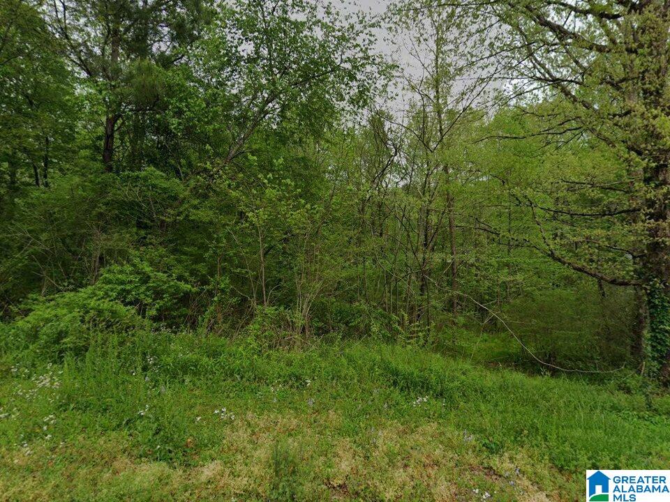 3477 CEDARBROOK CIRCLE