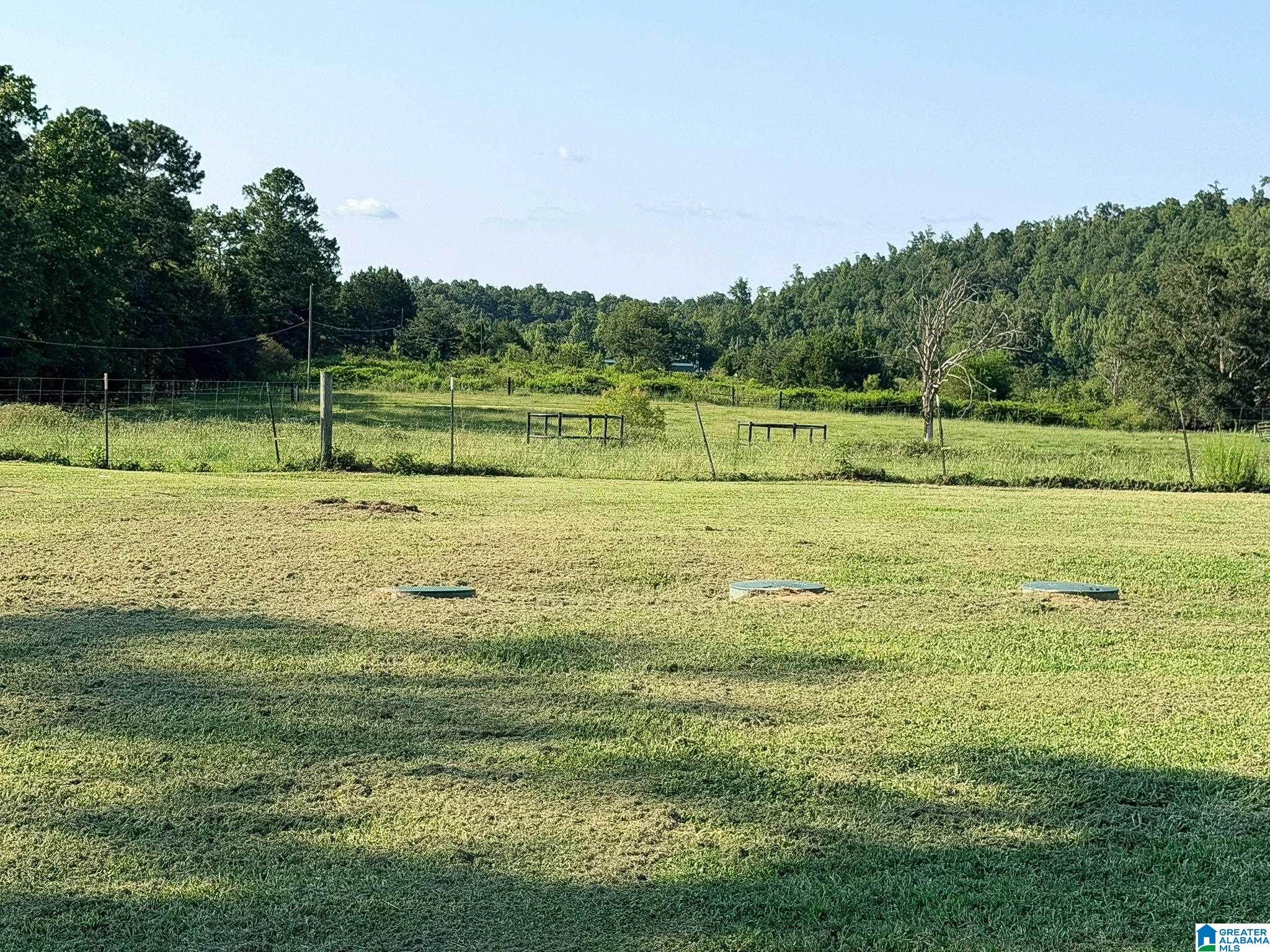 2nd image of 636 Websters Road, Wellington, AL 36279 | MLS# 21460426