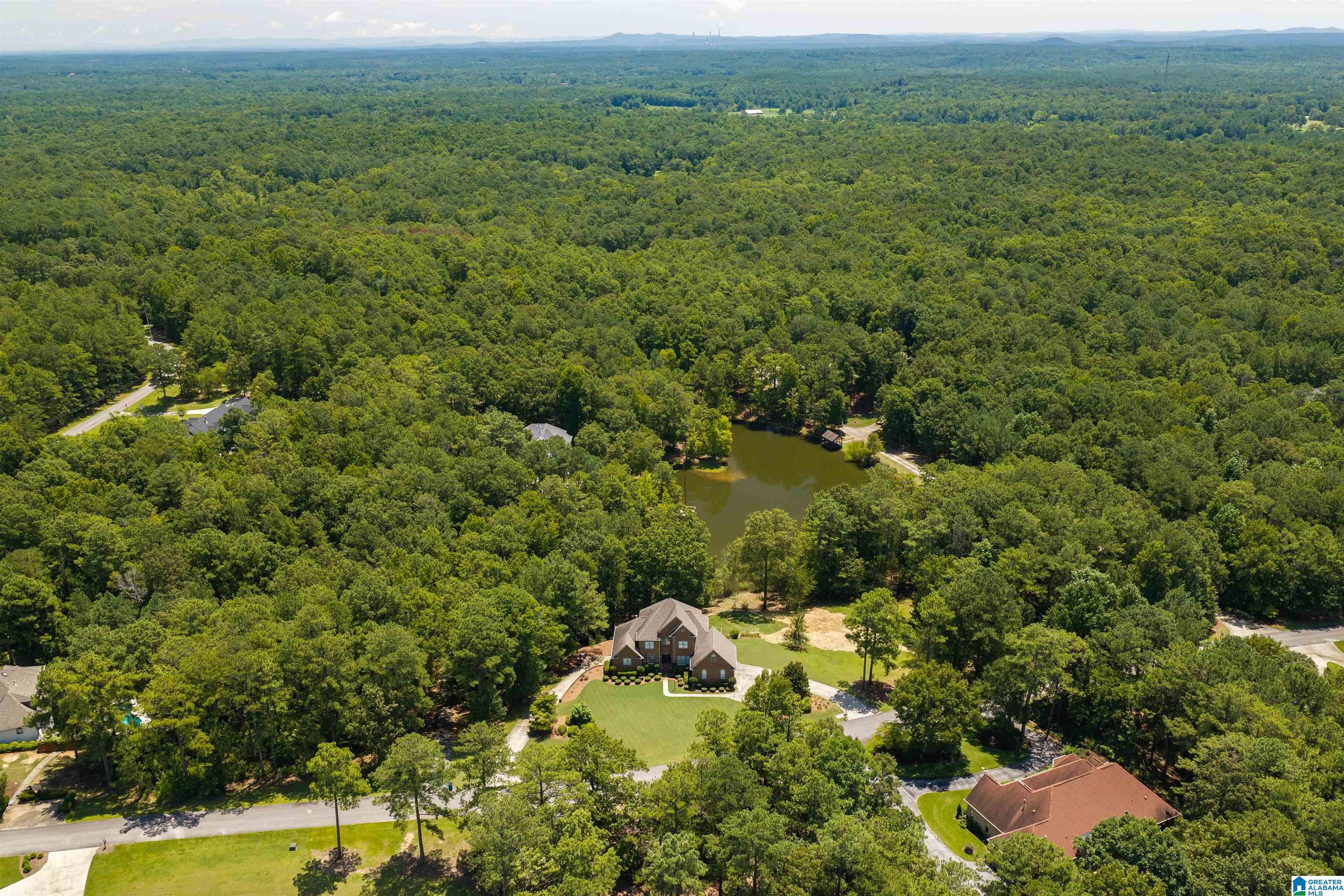5th image of 87 Bonnie Blue Lane, Columbiana, AL 35051 | MLS# 21460434