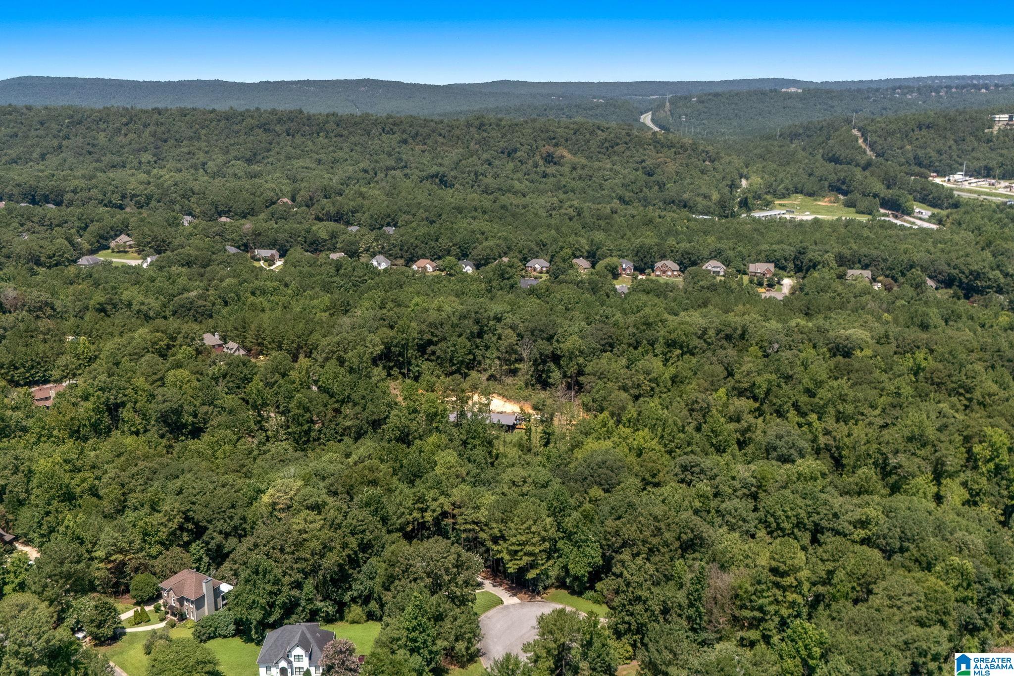74th image of 113 Sweet Gum Lane, Chelsea, AL 35043 | MLS# 21460468