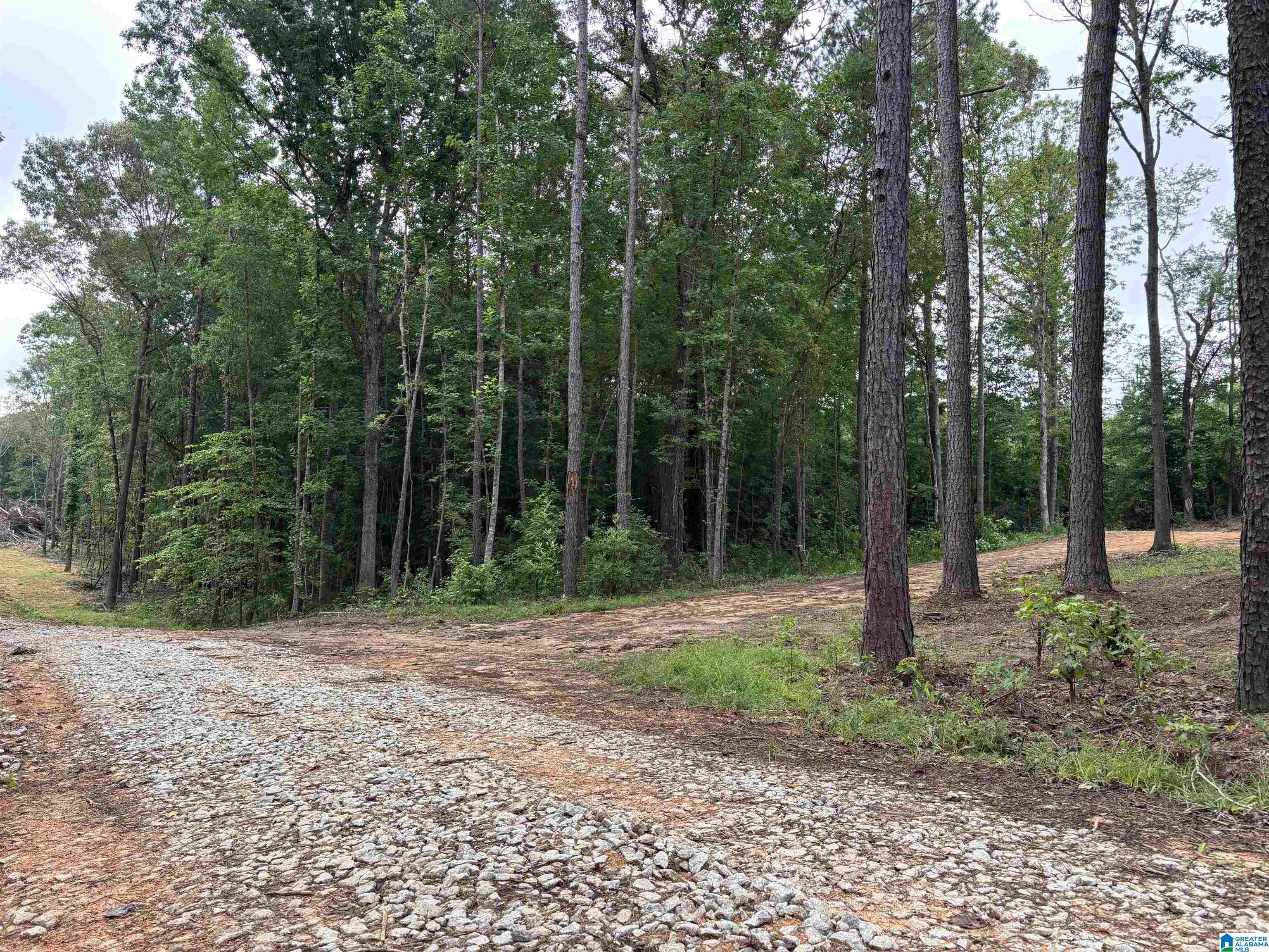 Tract 1 343 COUNTY ROAD 892