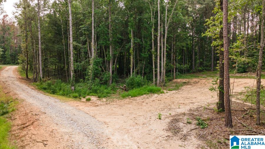 Tract 2 343 COUNTY ROAD 892