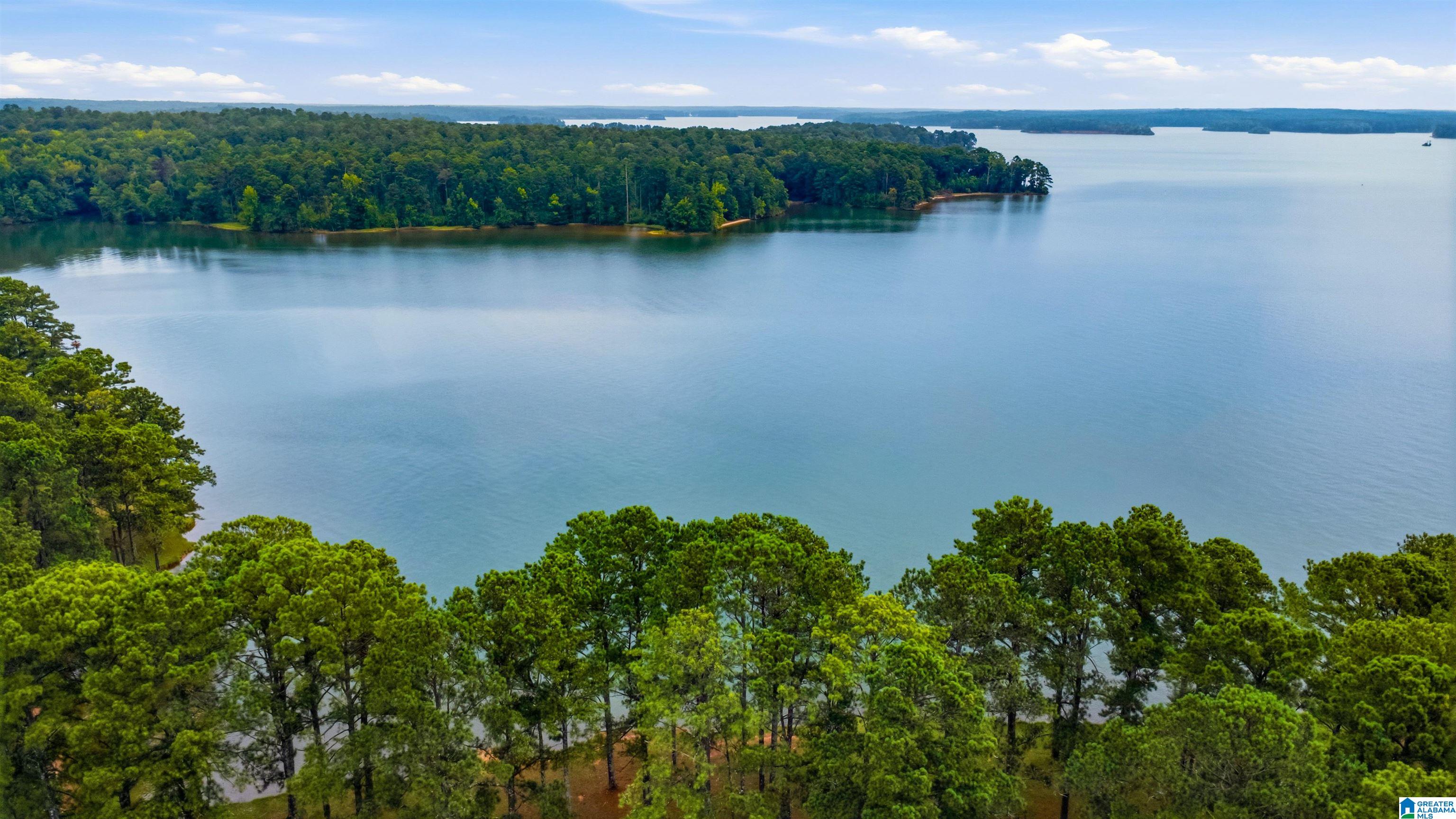 39th image of 1378 County Road 217, Lanett, AL 36863 | MLS# 21460510