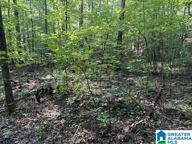2nd image of 0 Renaee Circle, Mccalla, AL 35111 | MLS# 21460597