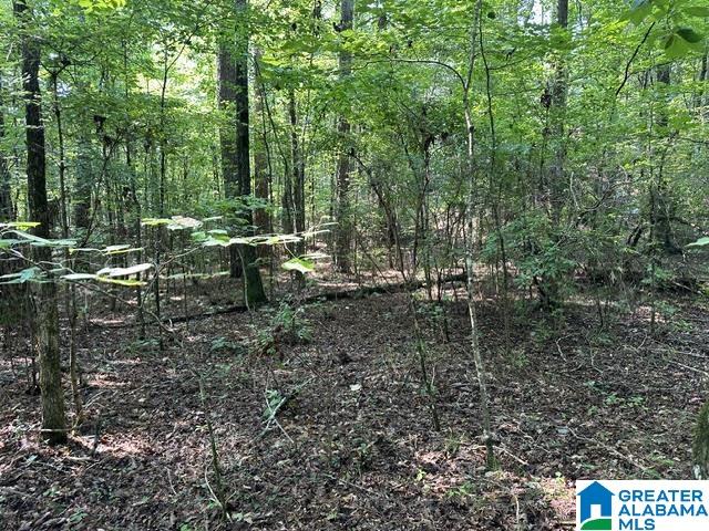 3rd image of 0 Renaee Circle, Mccalla, AL 35111 | MLS# 21460597