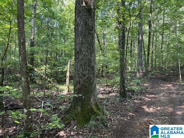 4th image of 0 Renaee Circle, Mccalla, AL 35111 | MLS# 21460597