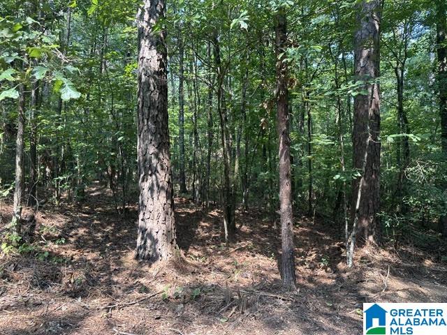 5th image of 0 Renaee Circle, Mccalla, AL 35111 | MLS# 21460597