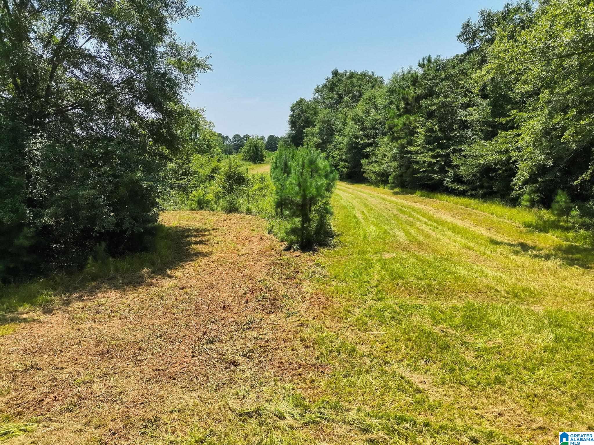 5th image of 568 County Road 15, Autaugaville, AL 36003 | MLS# 21460611