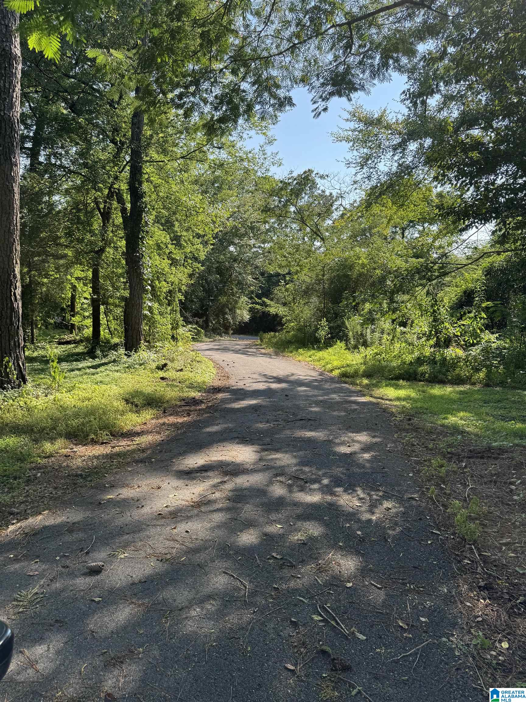1st image of 8559 Bradford Trafford Road, Pinson, AL 35126 | MLS# 21460618