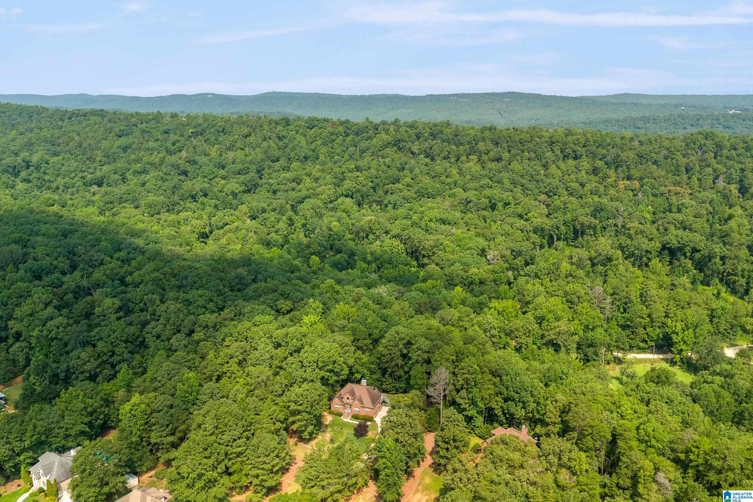 4th image of 232 Sassafras Circle, Chelsea, AL 35043 | MLS# 21460658
