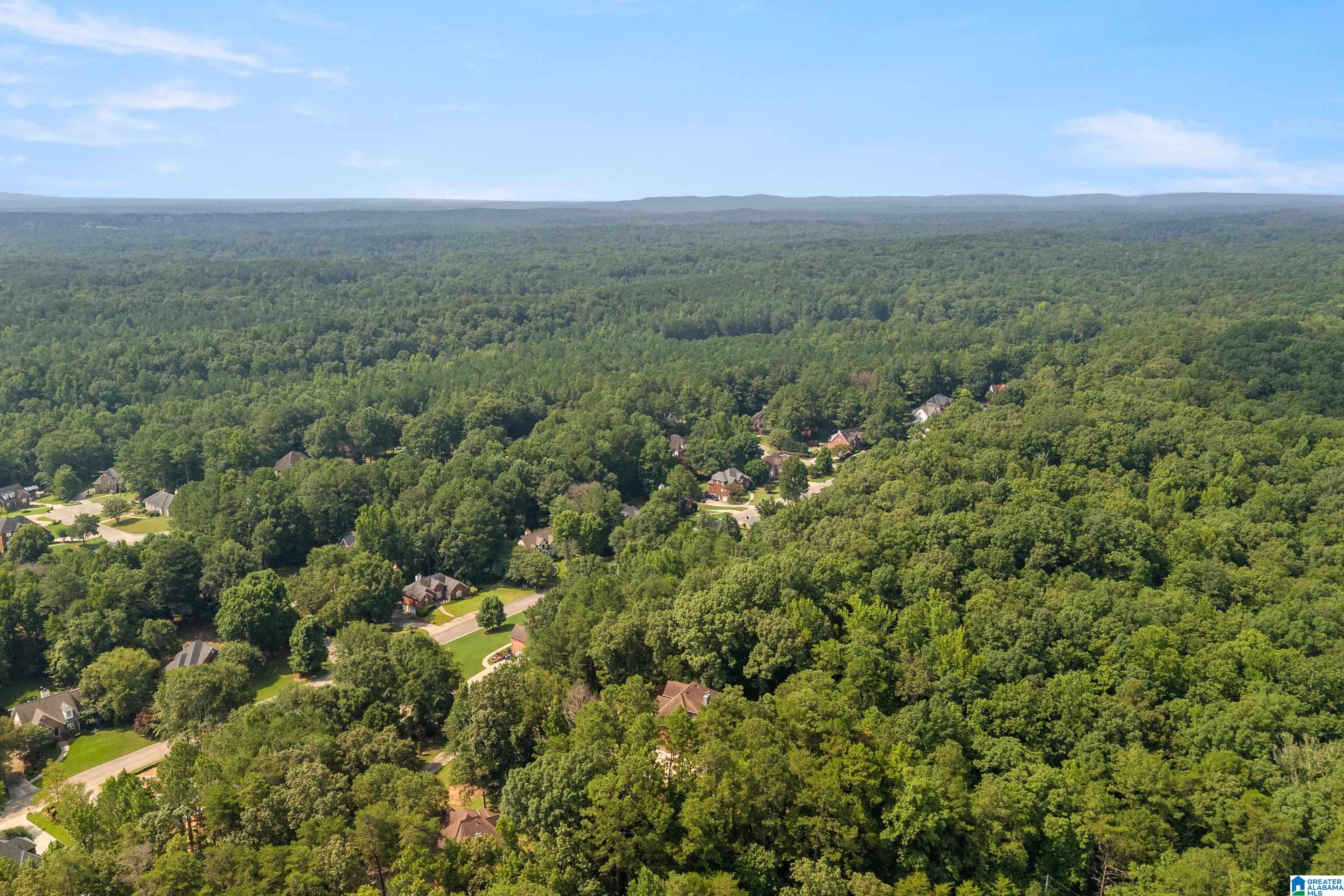 51st image of 232 Sassafras Circle, Chelsea, AL 35043 | MLS# 21460658