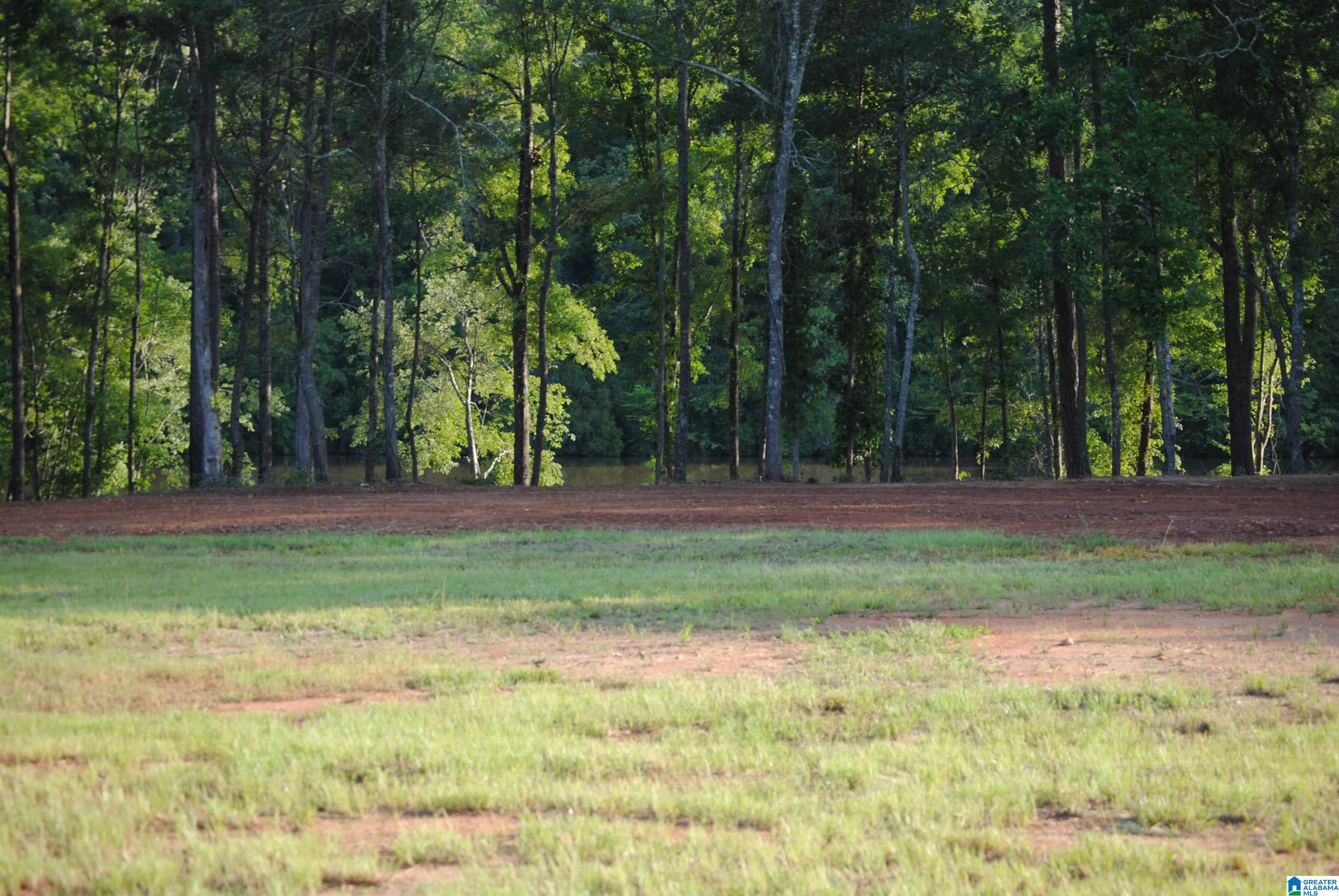 1st image of County Road 499, Woodland, AL 36280 | MLS# 21460667