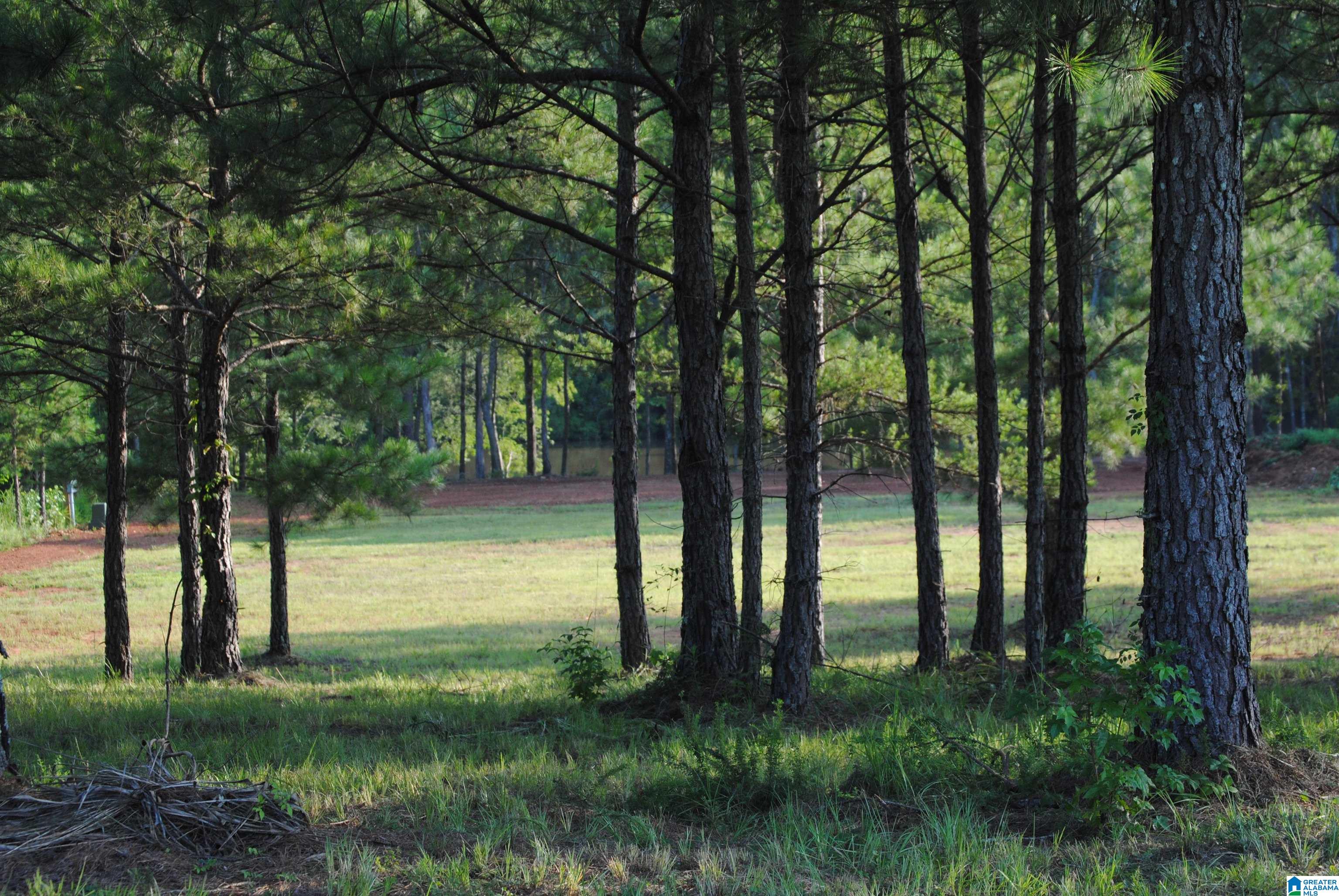 2nd image of County Road 499, Woodland, AL 36280 | MLS# 21460667