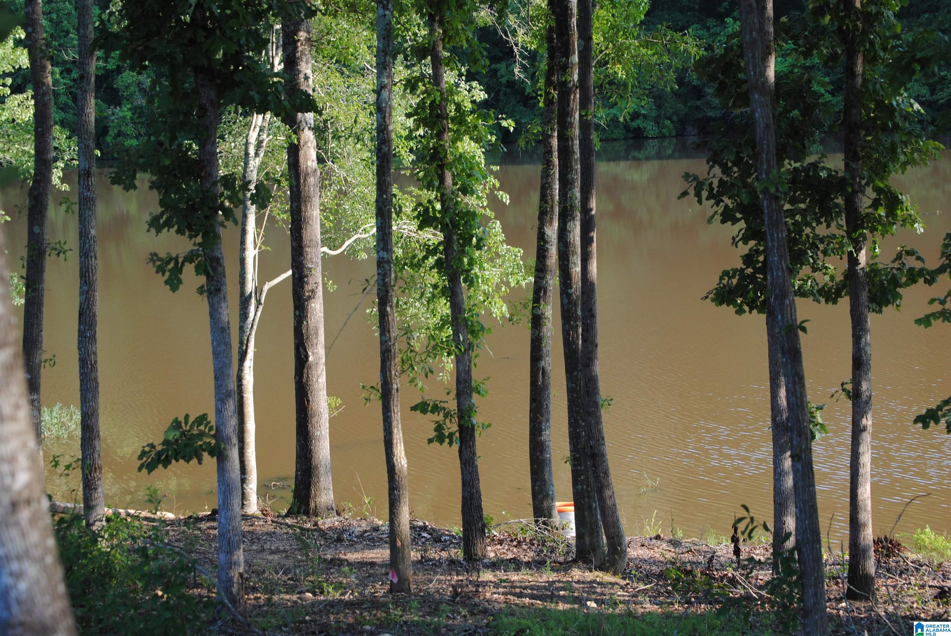 3rd image of County Road 499, Woodland, AL 36280 | MLS# 21460667
