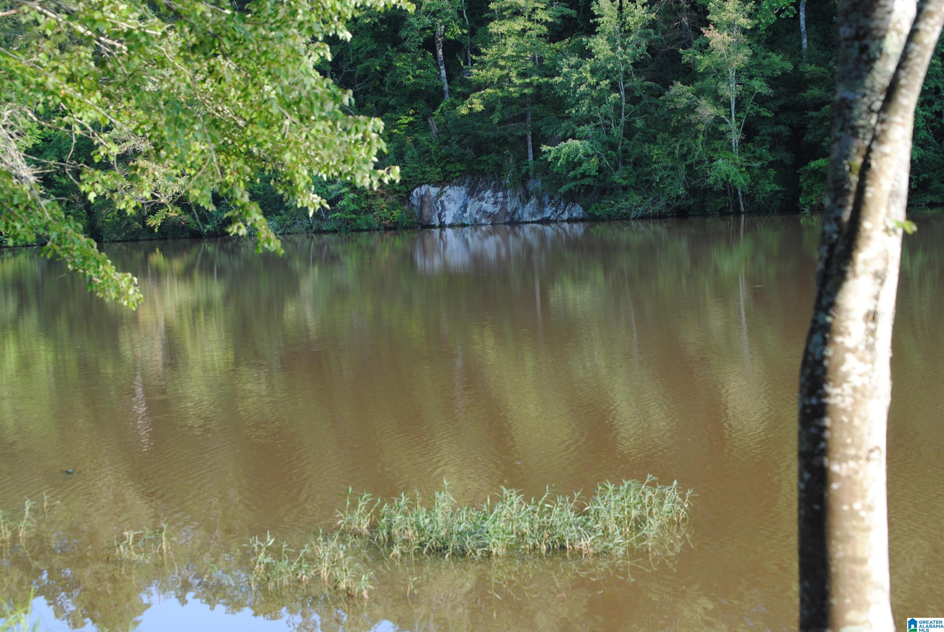 4th image of County Road 499, Woodland, AL 36280 | MLS# 21460667
