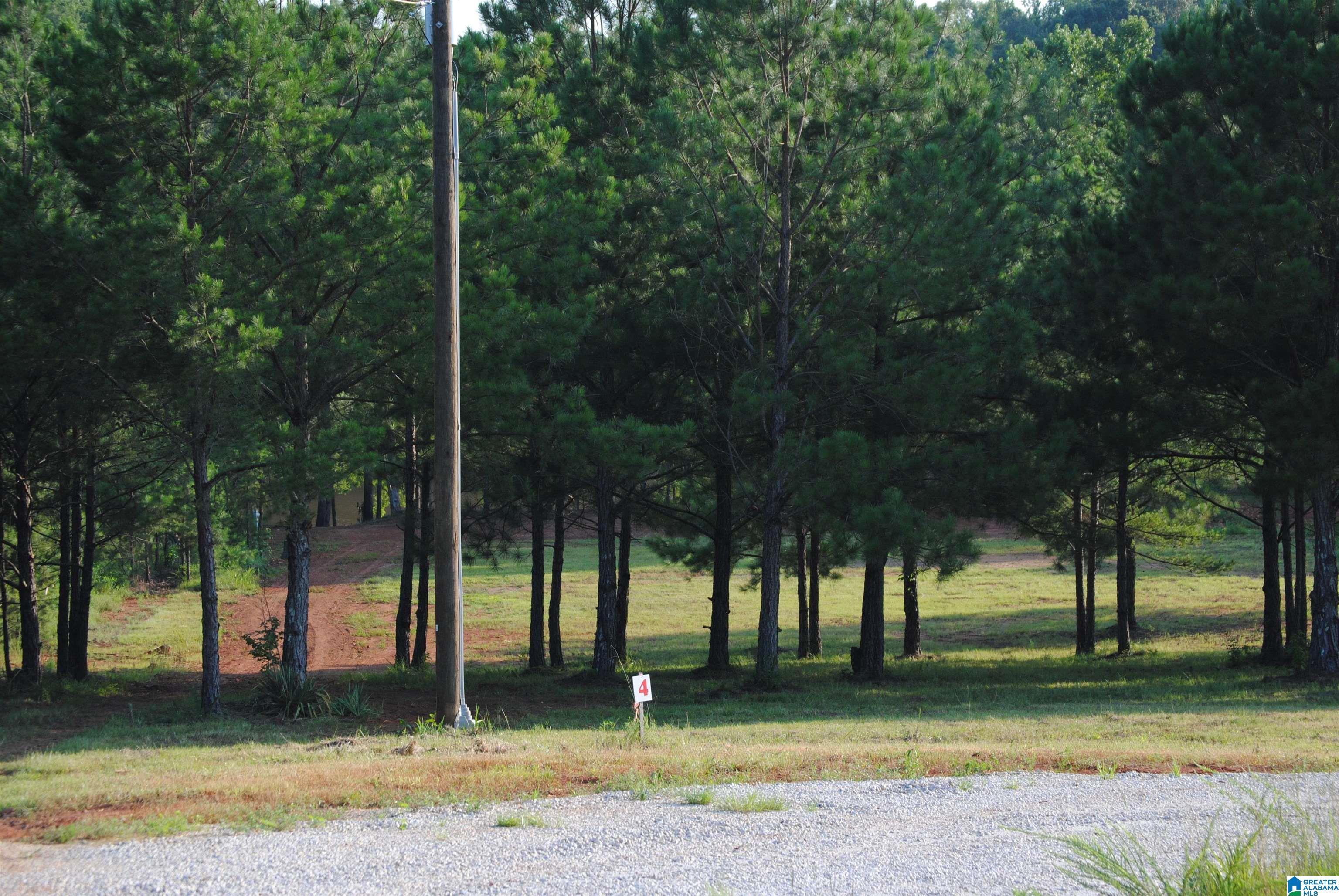 9th image of County Road 499, Woodland, AL 36280 | MLS# 21460667