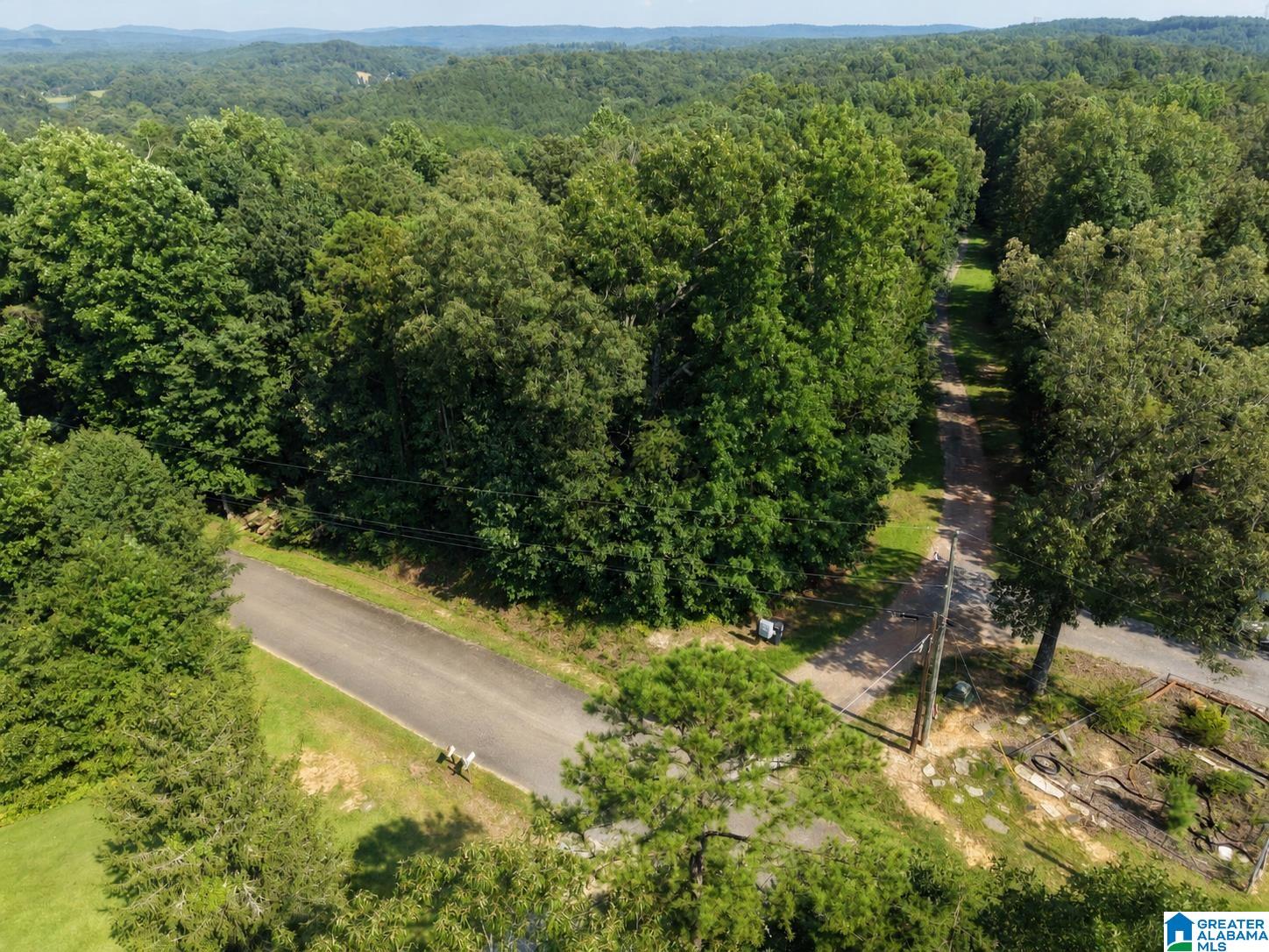 1555 HAGOOD MTN ROAD