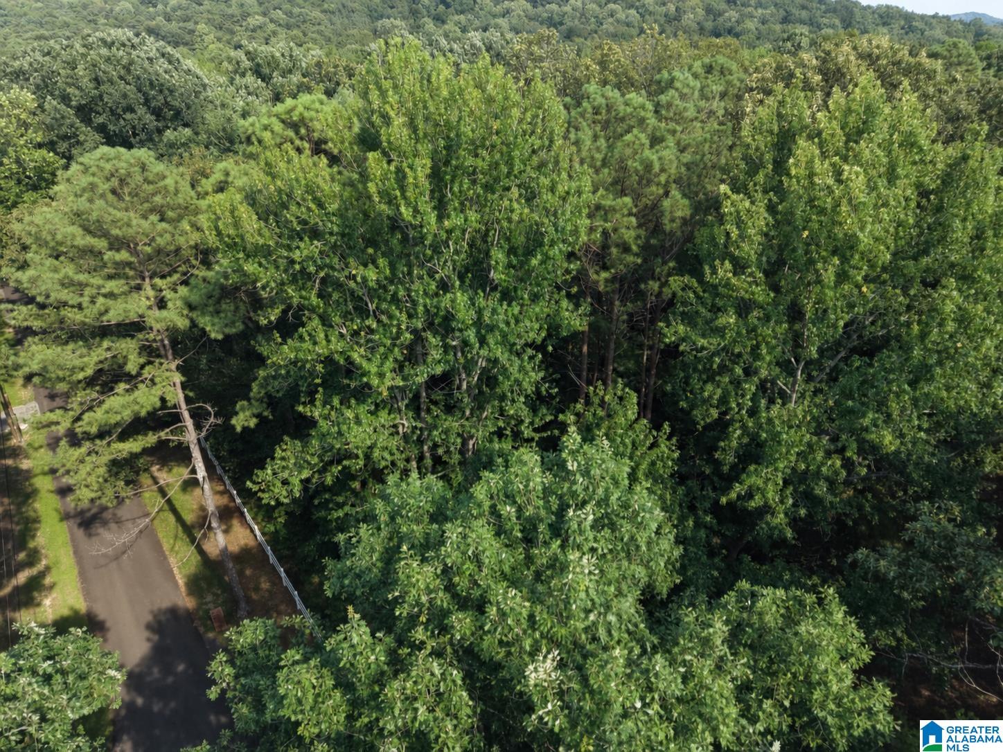 5389 OLD SHADOW LAKE ROAD